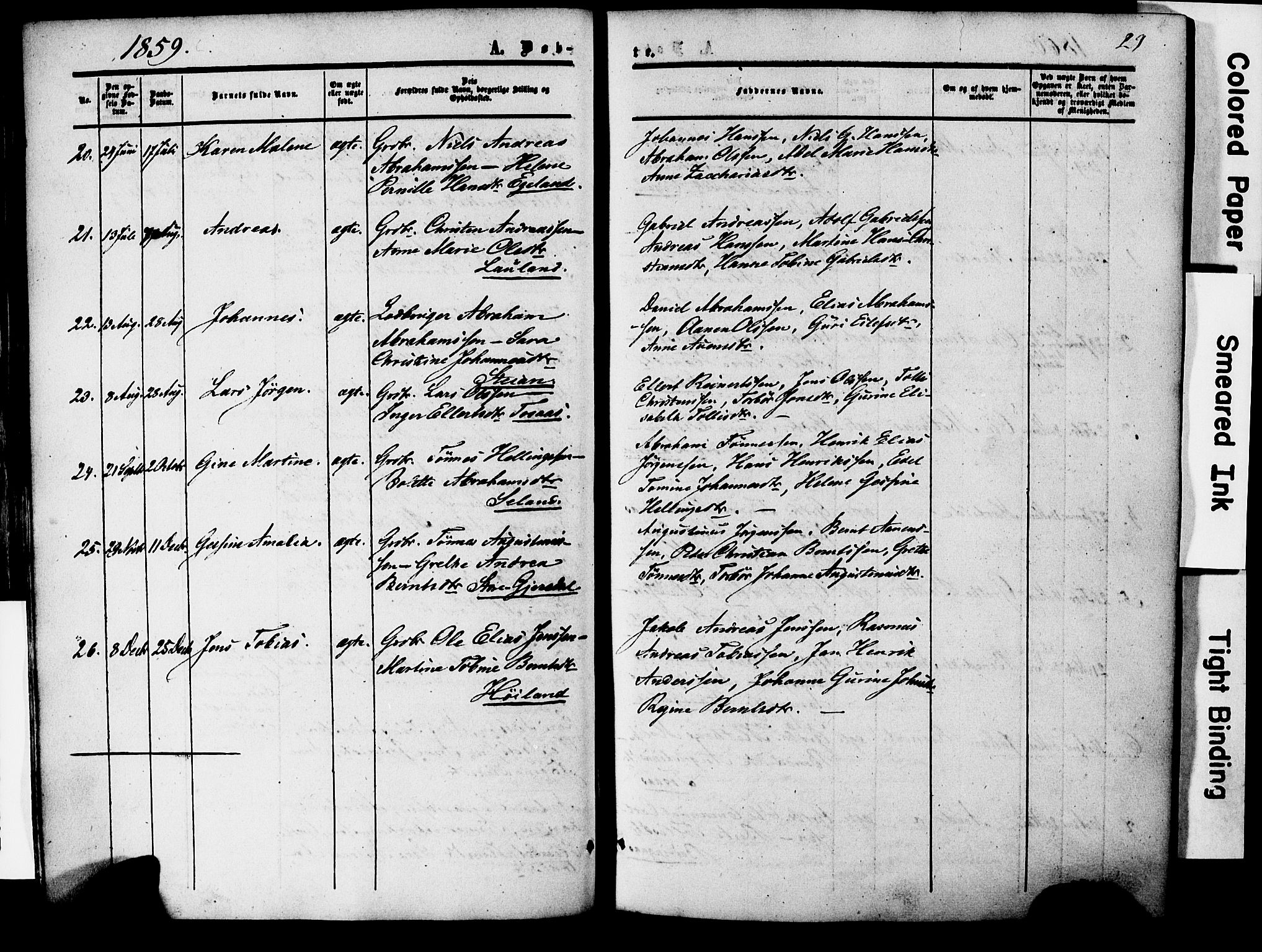 Herad sokneprestkontor, AV/SAK-1111-0018/F/Fa/Faa/L0005: Parish register (official) no. A 5, 1853-1886, p. 29