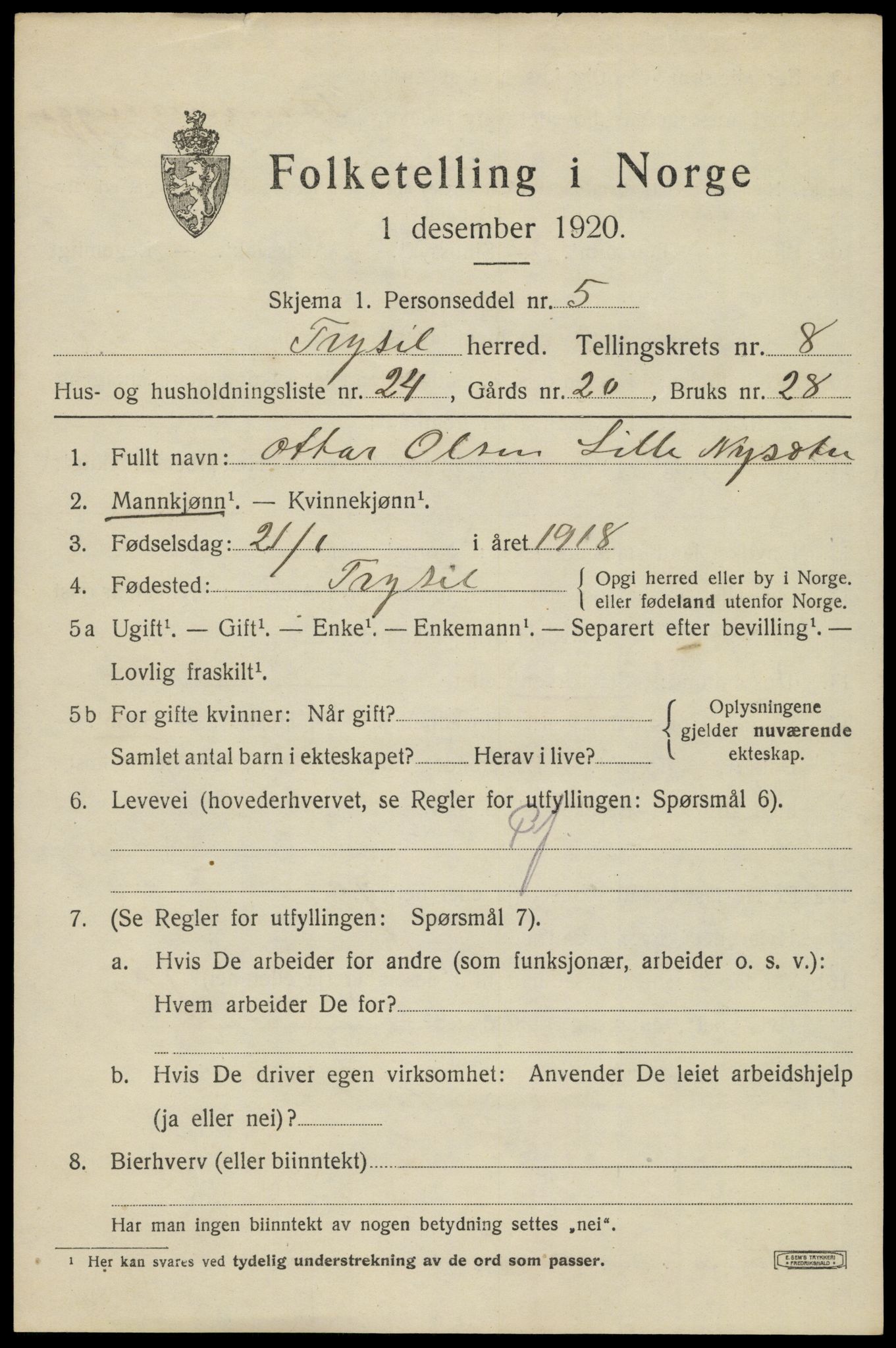 SAH, 1920 census for Trysil, 1920, p. 6527