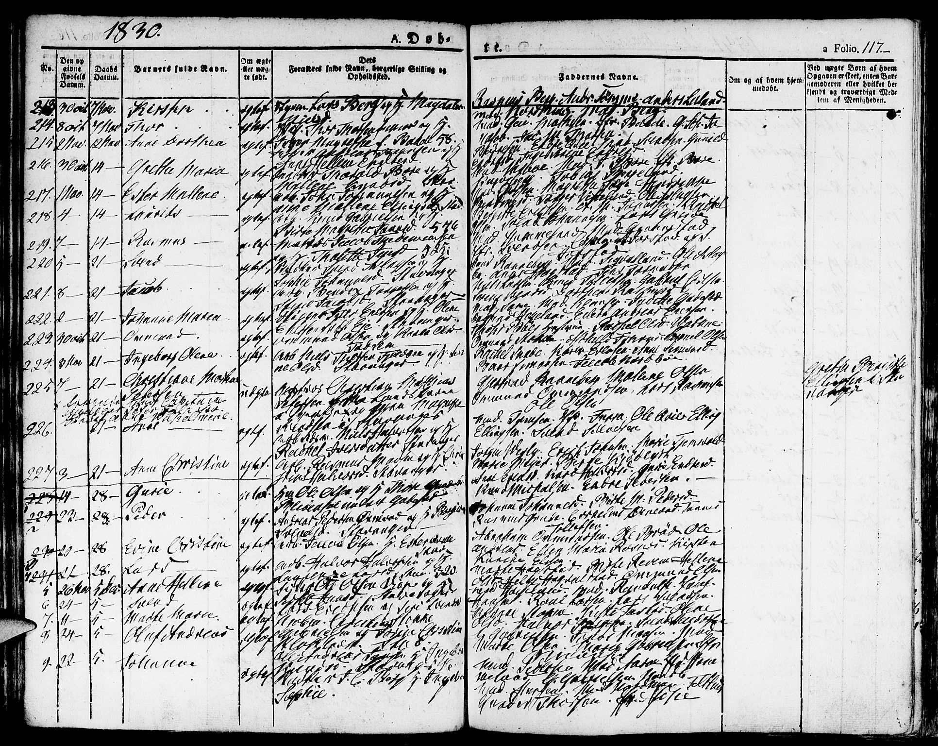 Domkirken sokneprestkontor, SAST/A-101812/001/30/30BA/L0009: Parish register (official) no. A 9, 1821-1832, p. 117