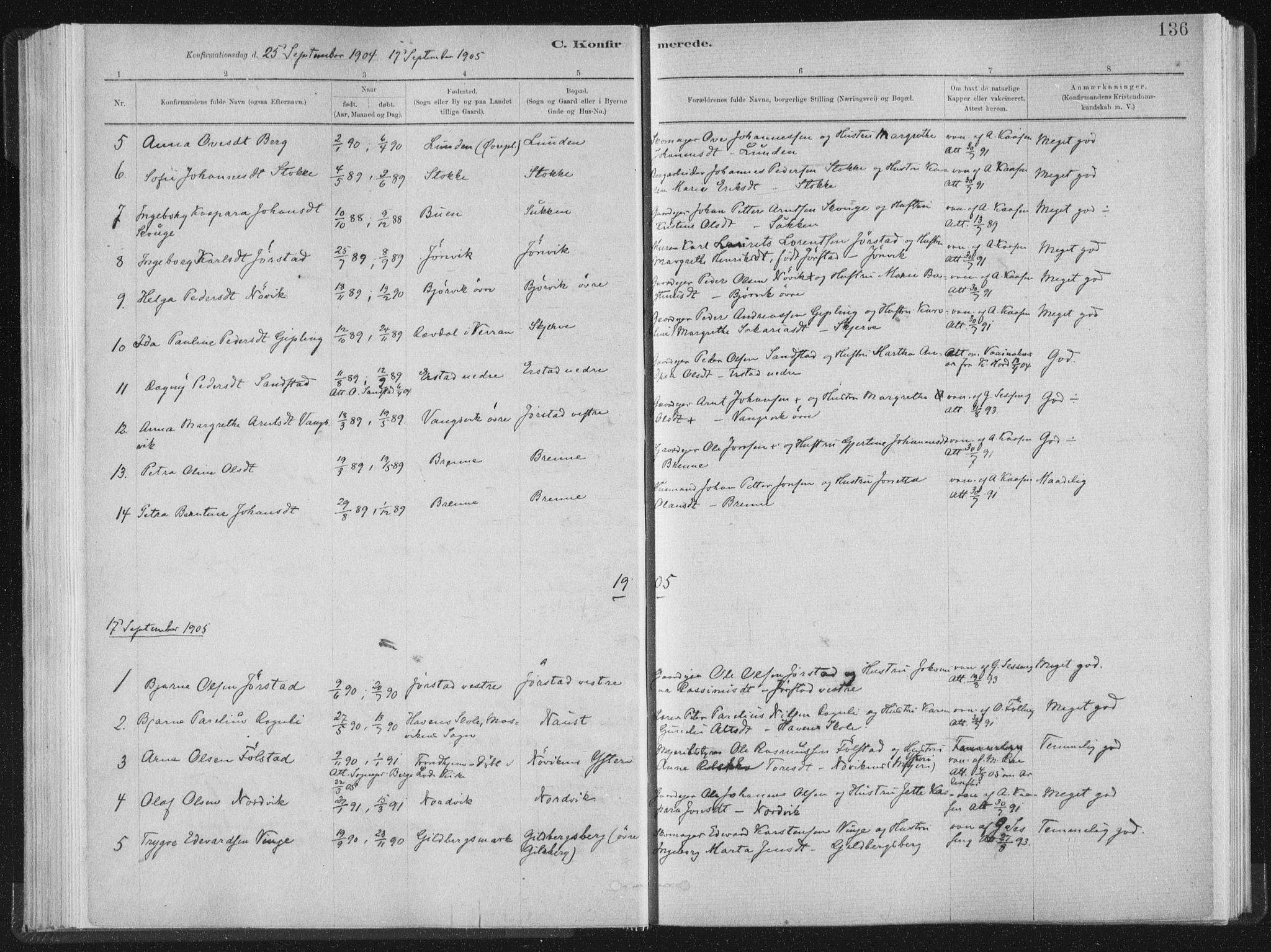 Ministerialprotokoller, klokkerbøker og fødselsregistre - Nord-Trøndelag, AV/SAT-A-1458/722/L0220: Parish register (official) no. 722A07, 1881-1908, p. 136