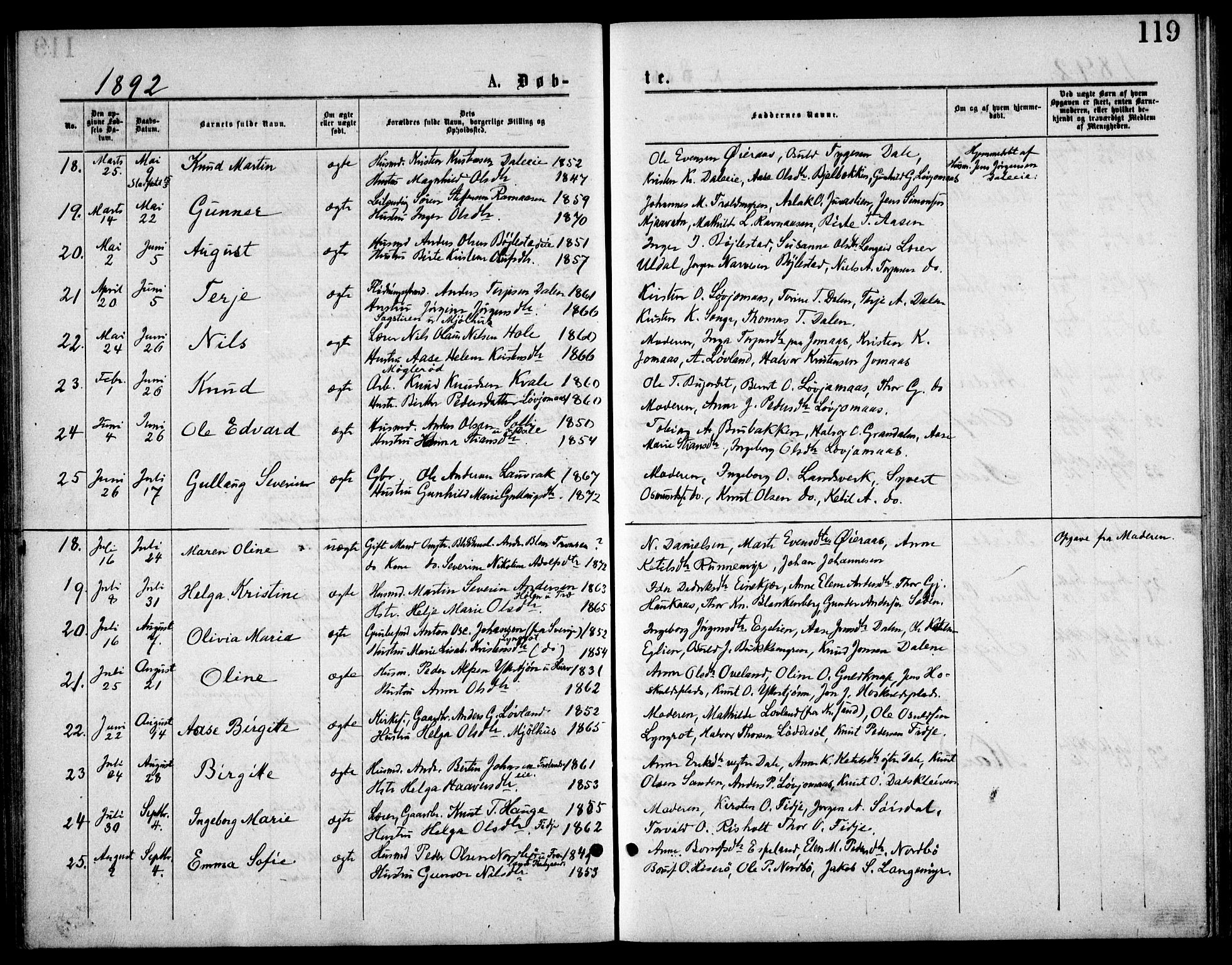 Froland sokneprestkontor, SAK/1111-0013/F/Fb/L0009: Parish register (copy) no. B 9, 1875-1893, p. 119