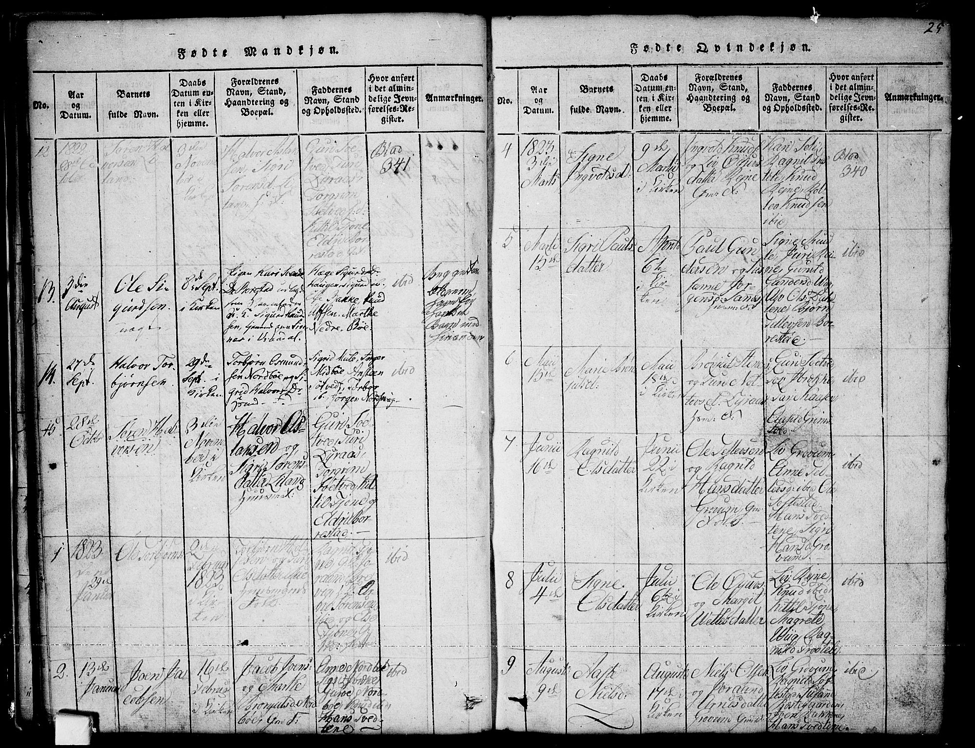 Nissedal kirkebøker, SAKO/A-288/G/Ga/L0001: Parish register (copy) no. I 1, 1814-1860, p. 25