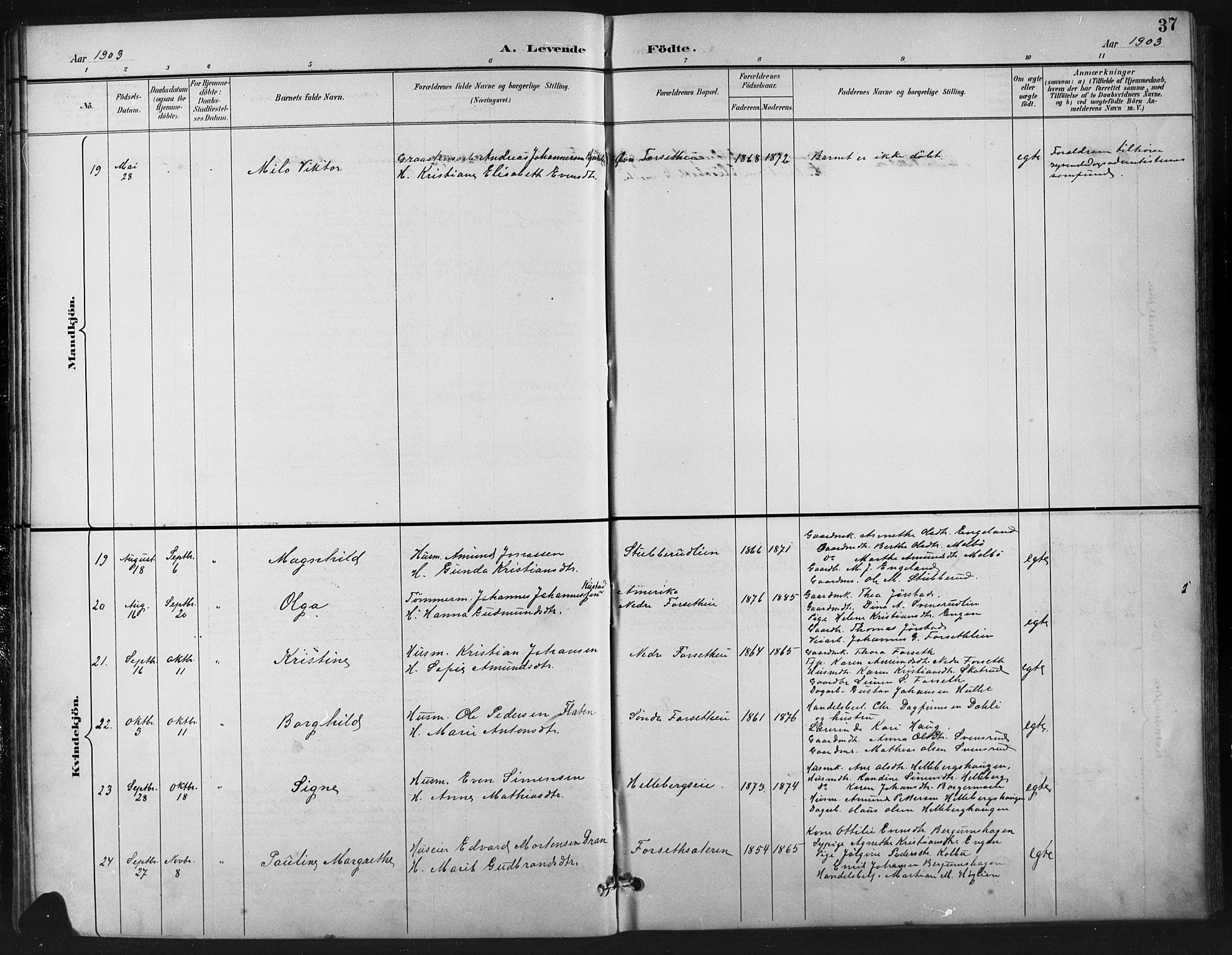 Vestre Gausdal prestekontor, AV/SAH-PREST-094/H/Ha/Hab/L0003: Parish register (copy) no. 3, 1896-1925, p. 37