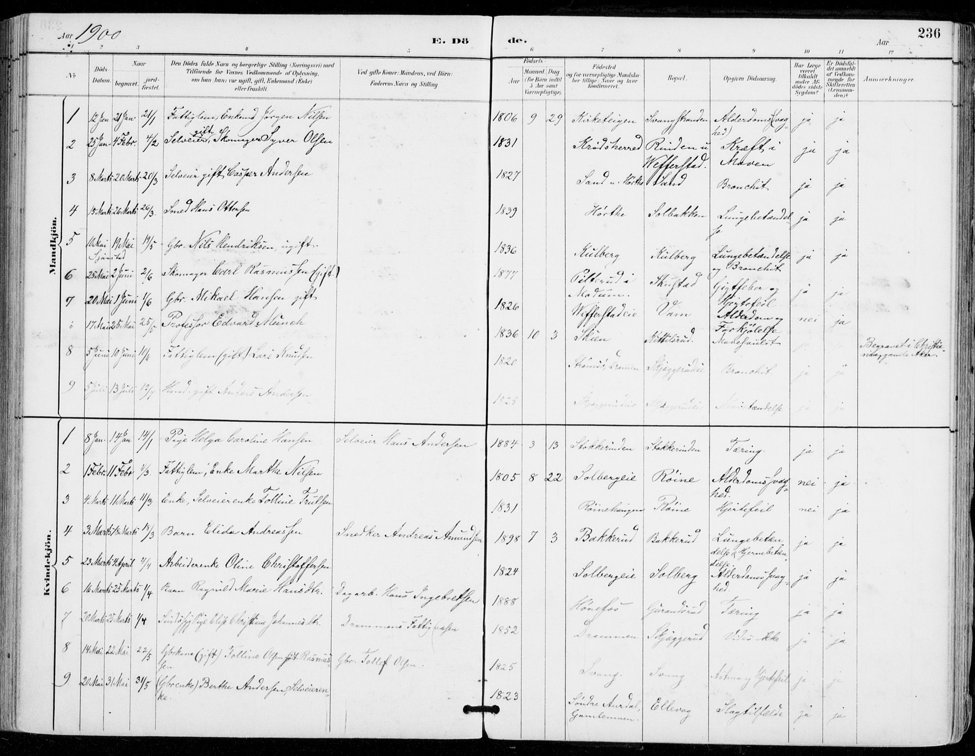 Sylling kirkebøker, SAKO/A-247/F/Fa/L0001: Parish register (official) no. 1, 1883-1910, p. 236