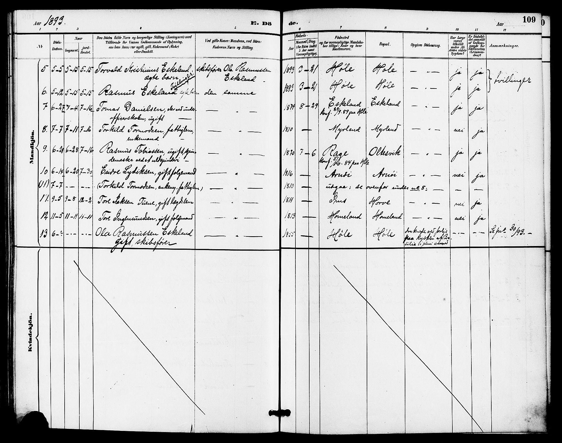 Høgsfjord sokneprestkontor, AV/SAST-A-101624/H/Ha/Haa/L0005: Parish register (official) no. A 5, 1885-1897, p. 109