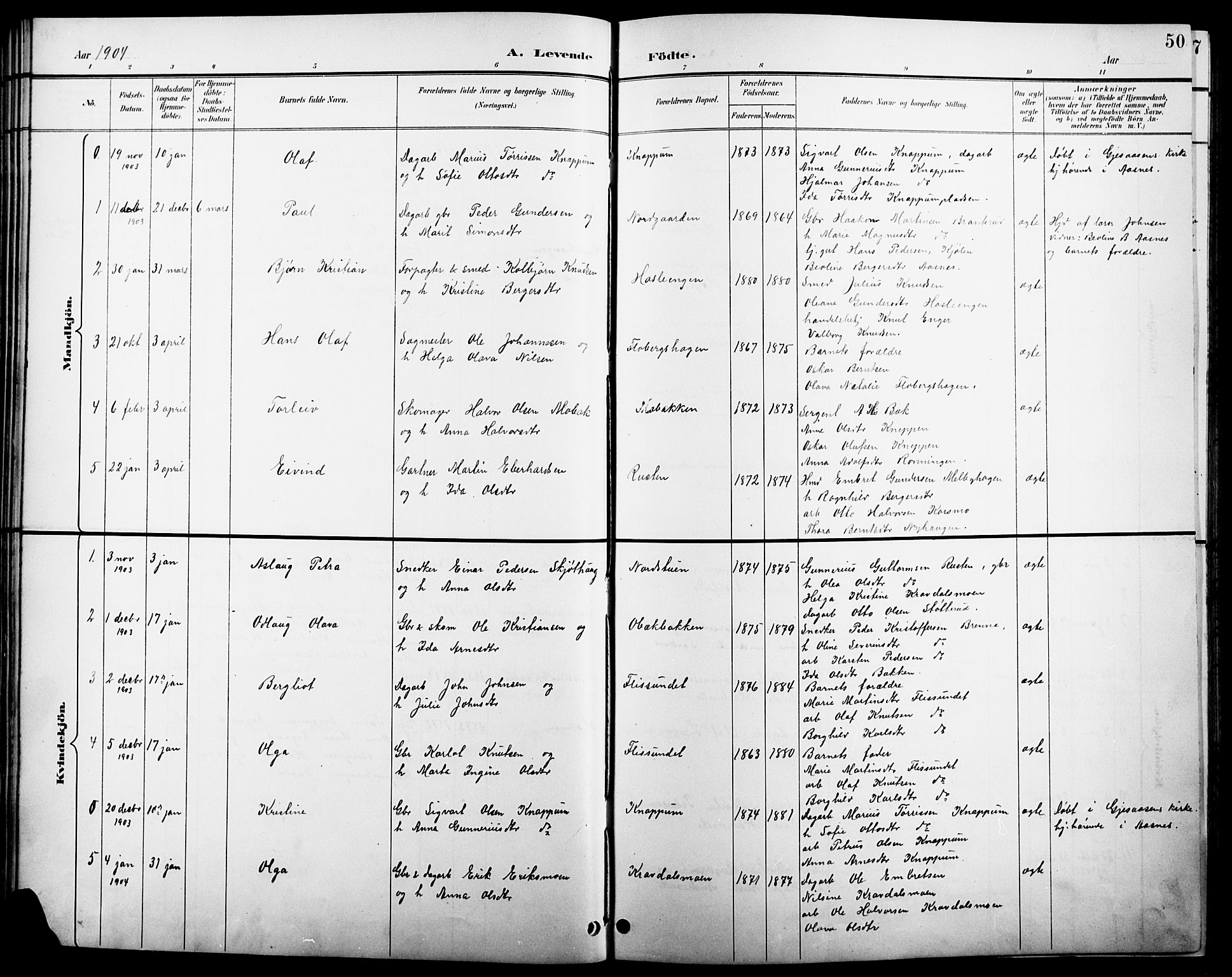 Åsnes prestekontor, AV/SAH-PREST-042/H/Ha/Hab/L0004: Parish register (copy) no. 4, 1895-1909, p. 50