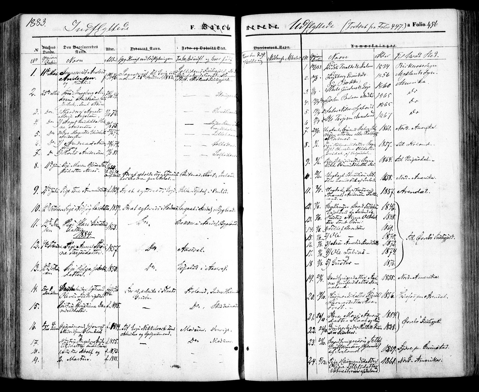 Evje sokneprestkontor, SAK/1111-0008/F/Fa/Faa/L0006: Parish register (official) no. A 6, 1866-1884, p. 456