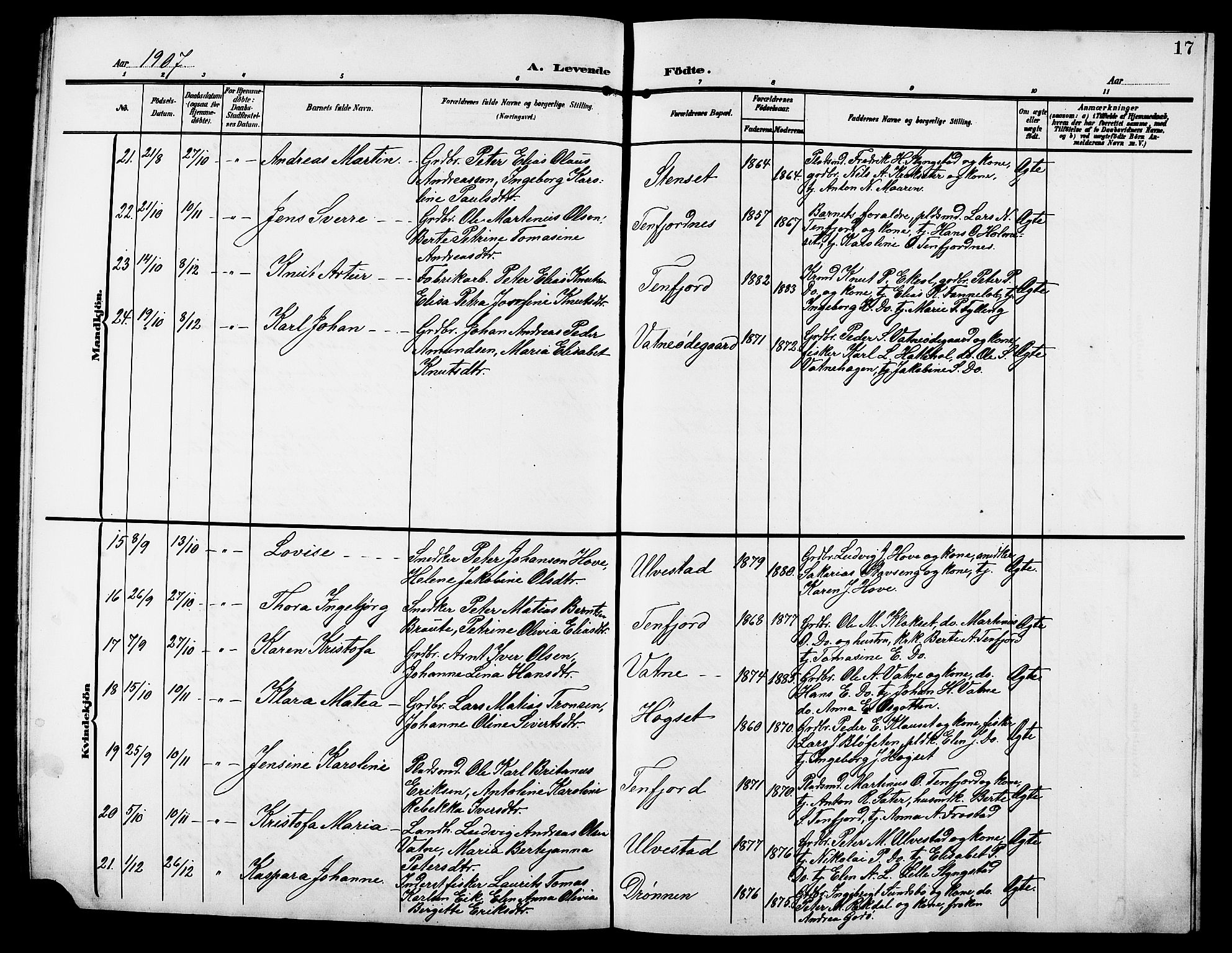 Ministerialprotokoller, klokkerbøker og fødselsregistre - Møre og Romsdal, AV/SAT-A-1454/525/L0377: Parish register (copy) no. 525C03, 1903-1917, p. 17