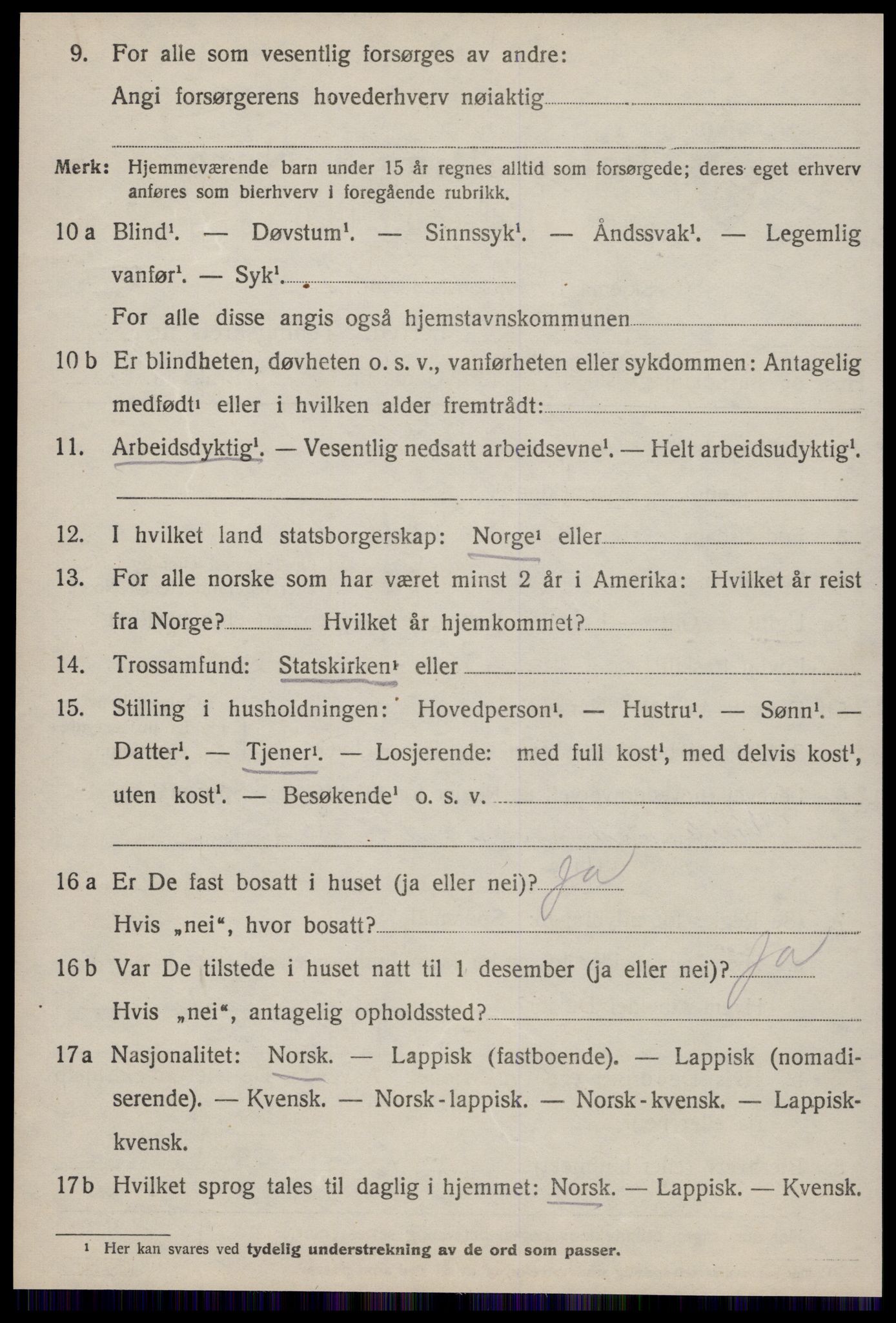 SAT, 1920 census for Strinda, 1920, p. 6025