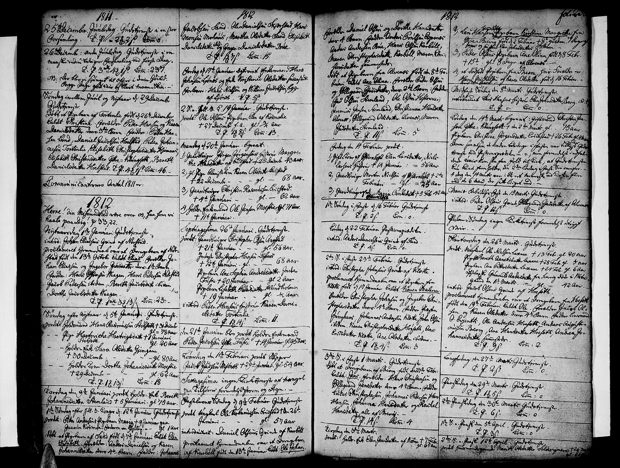 Ministerialprotokoller, klokkerbøker og fødselsregistre - Nordland, SAT/A-1459/852/L0735: Parish register (official) no. 852A05, 1762-1820, p. 238