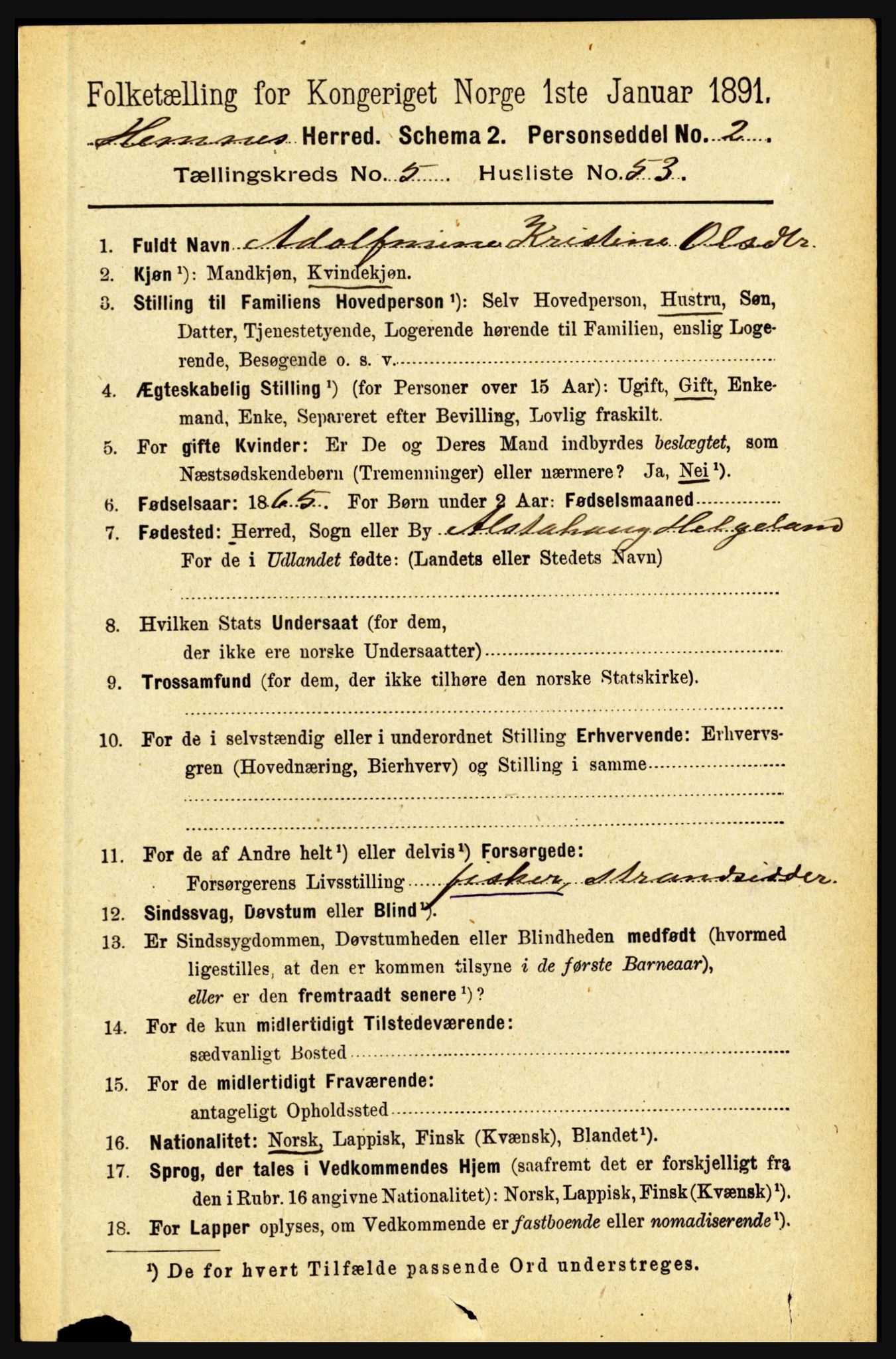 RA, 1891 census for 1832 Hemnes, 1891, p. 2882