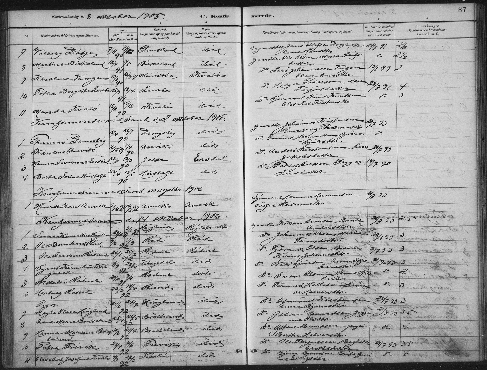 Vikedal sokneprestkontor, AV/SAST-A-101840/01/IV: Parish register (official) no. A 12, 1886-1929, p. 87