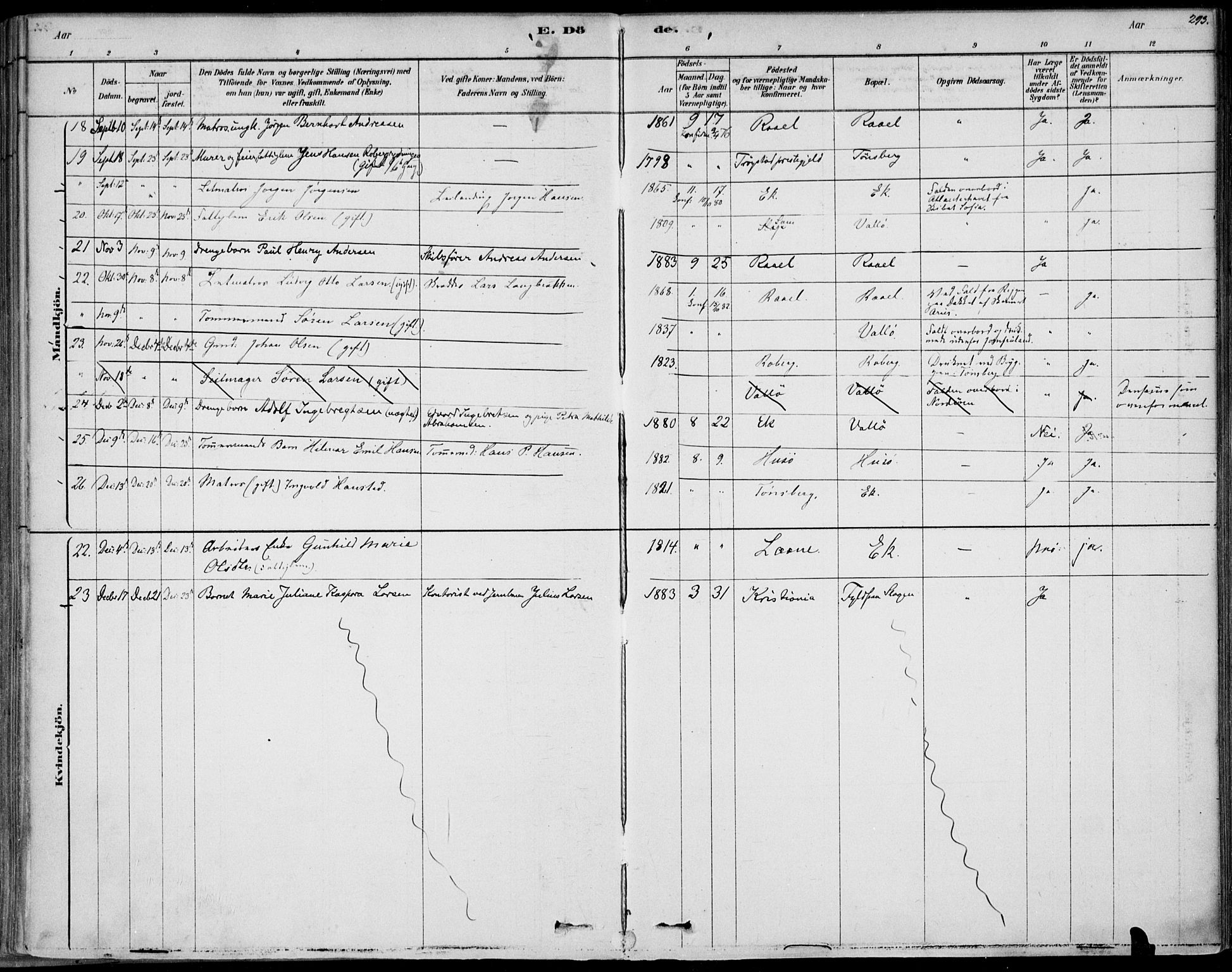 Sem kirkebøker, AV/SAKO-A-5/F/Fb/L0004: Parish register (official) no. II 4, 1878-1891, p. 293