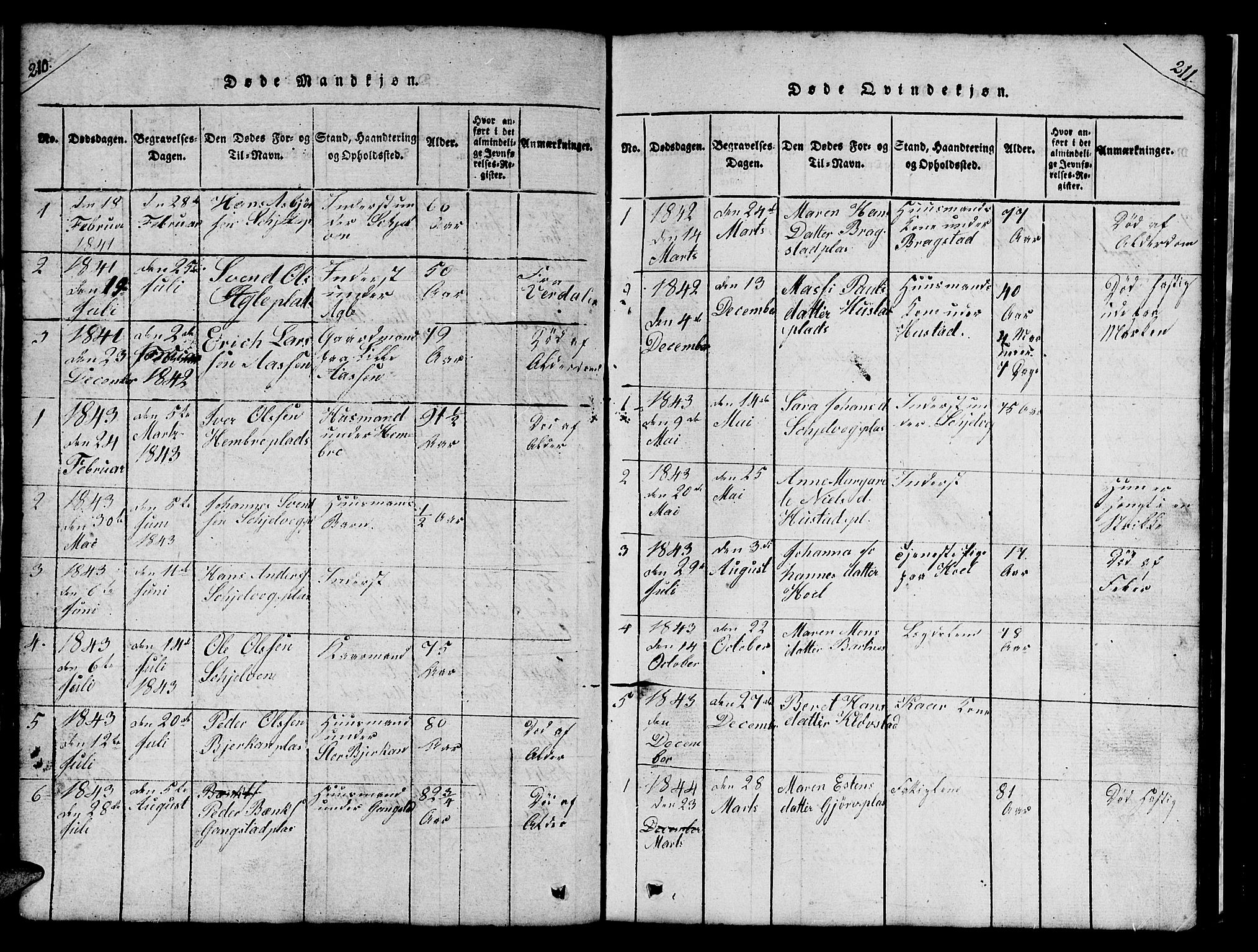 Ministerialprotokoller, klokkerbøker og fødselsregistre - Nord-Trøndelag, SAT/A-1458/732/L0317: Parish register (copy) no. 732C01, 1816-1881, p. 210-211