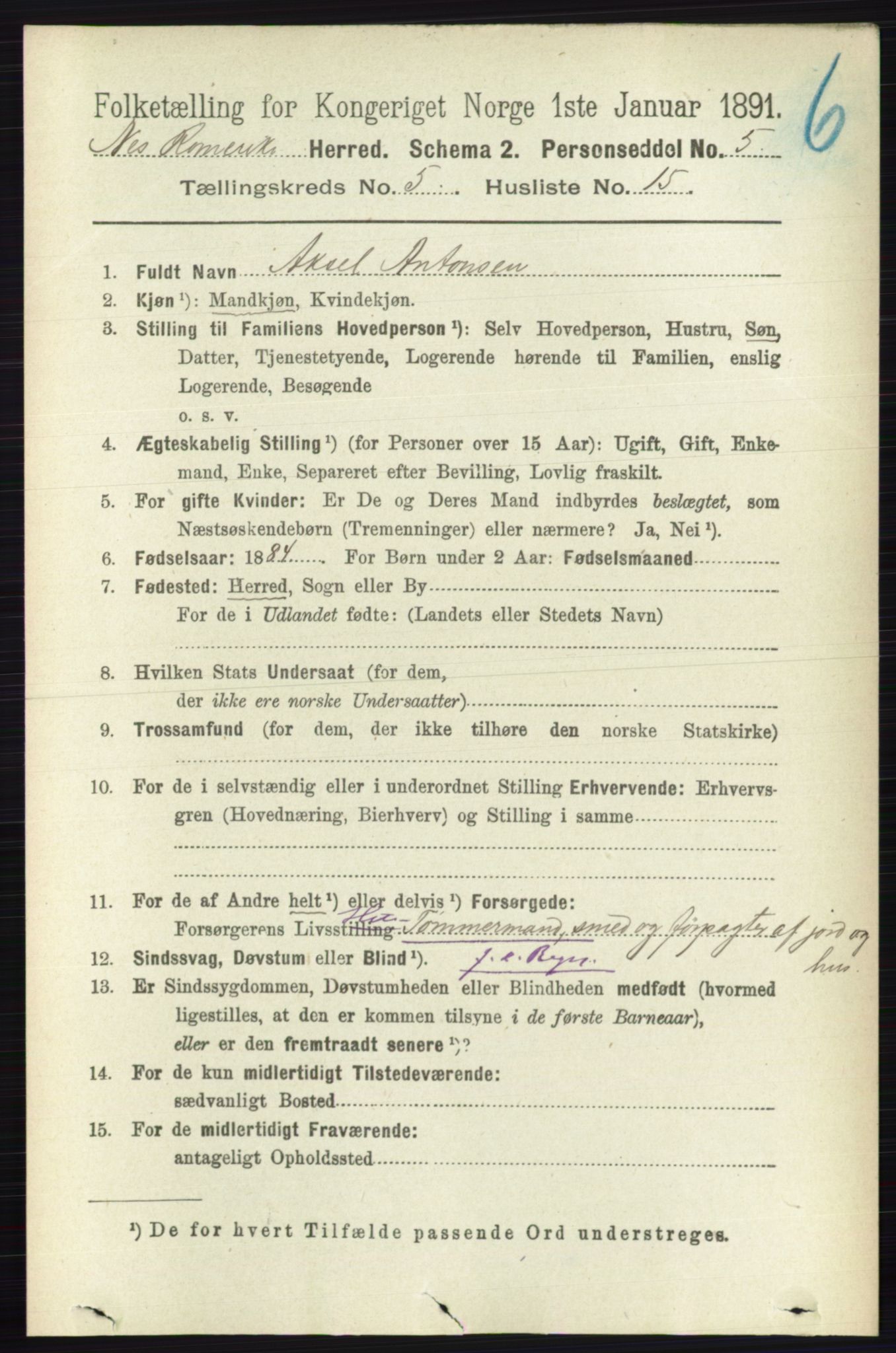 RA, 1891 census for 0236 Nes, 1891, p. 2875