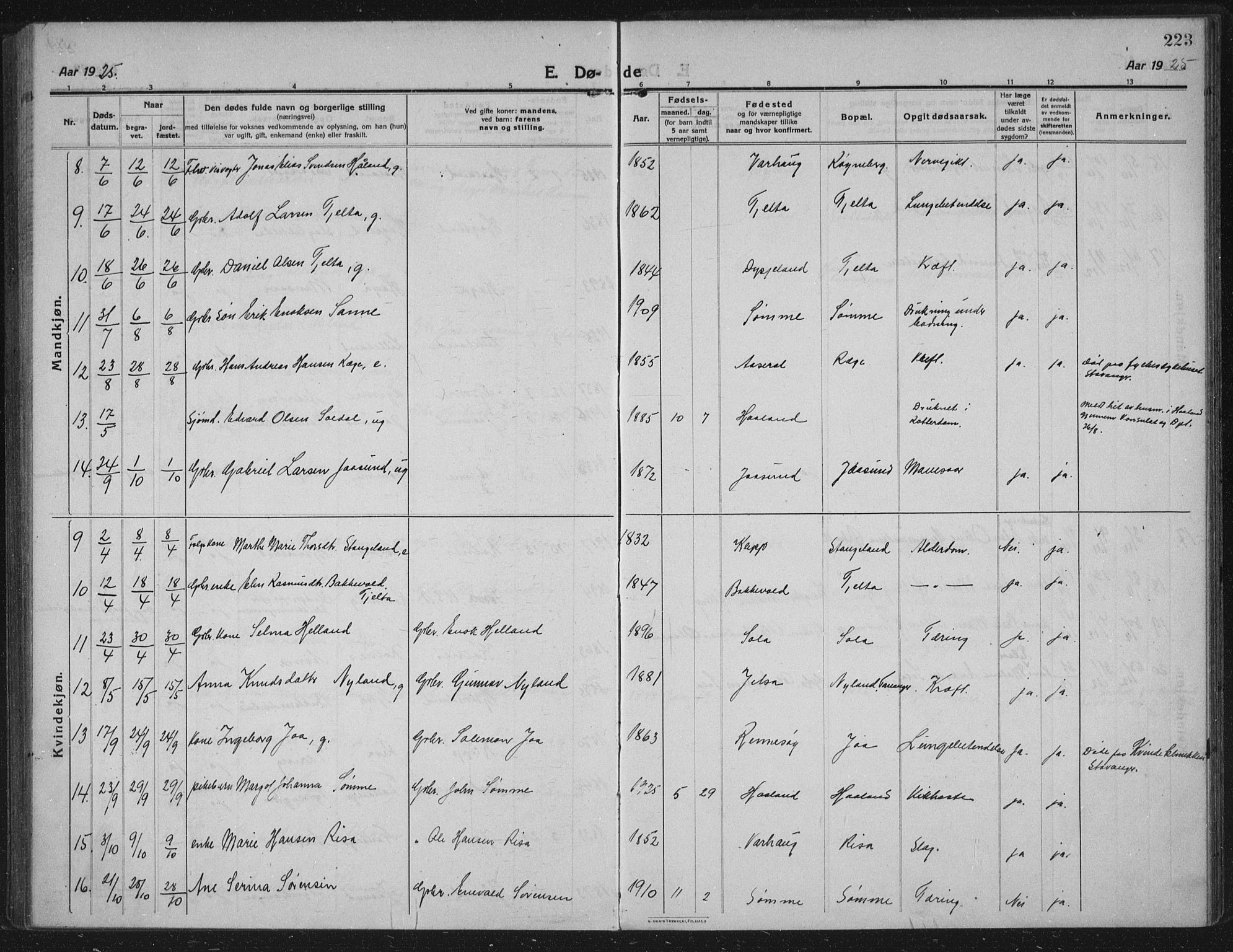 Håland sokneprestkontor, AV/SAST-A-101802/002/C/L0001: Parish register (official) no. A 14, 1913-1927, p. 223