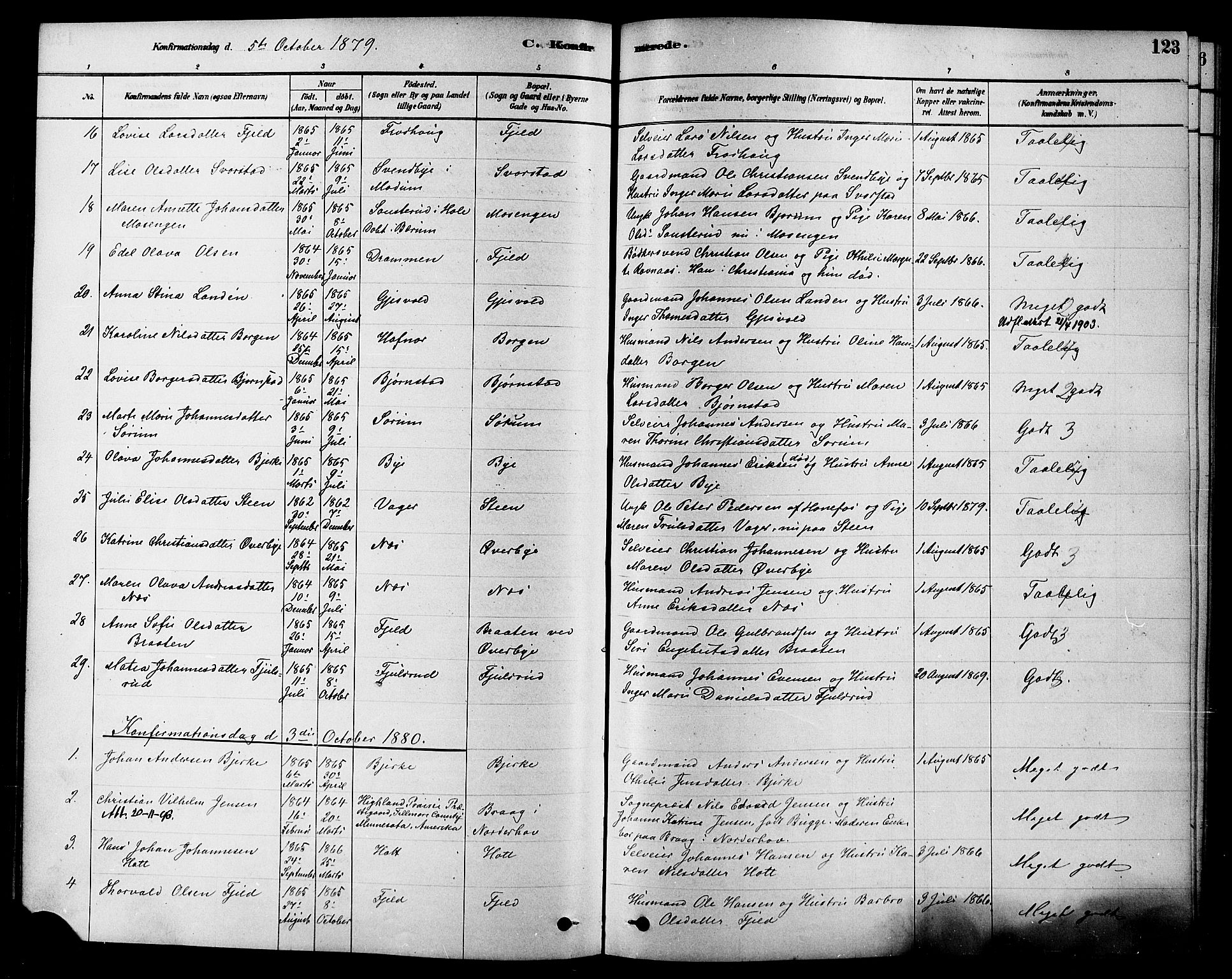 Hole kirkebøker, SAKO/A-228/F/Fa/L0008: Parish register (official) no. I 8, 1878-1891, p. 123