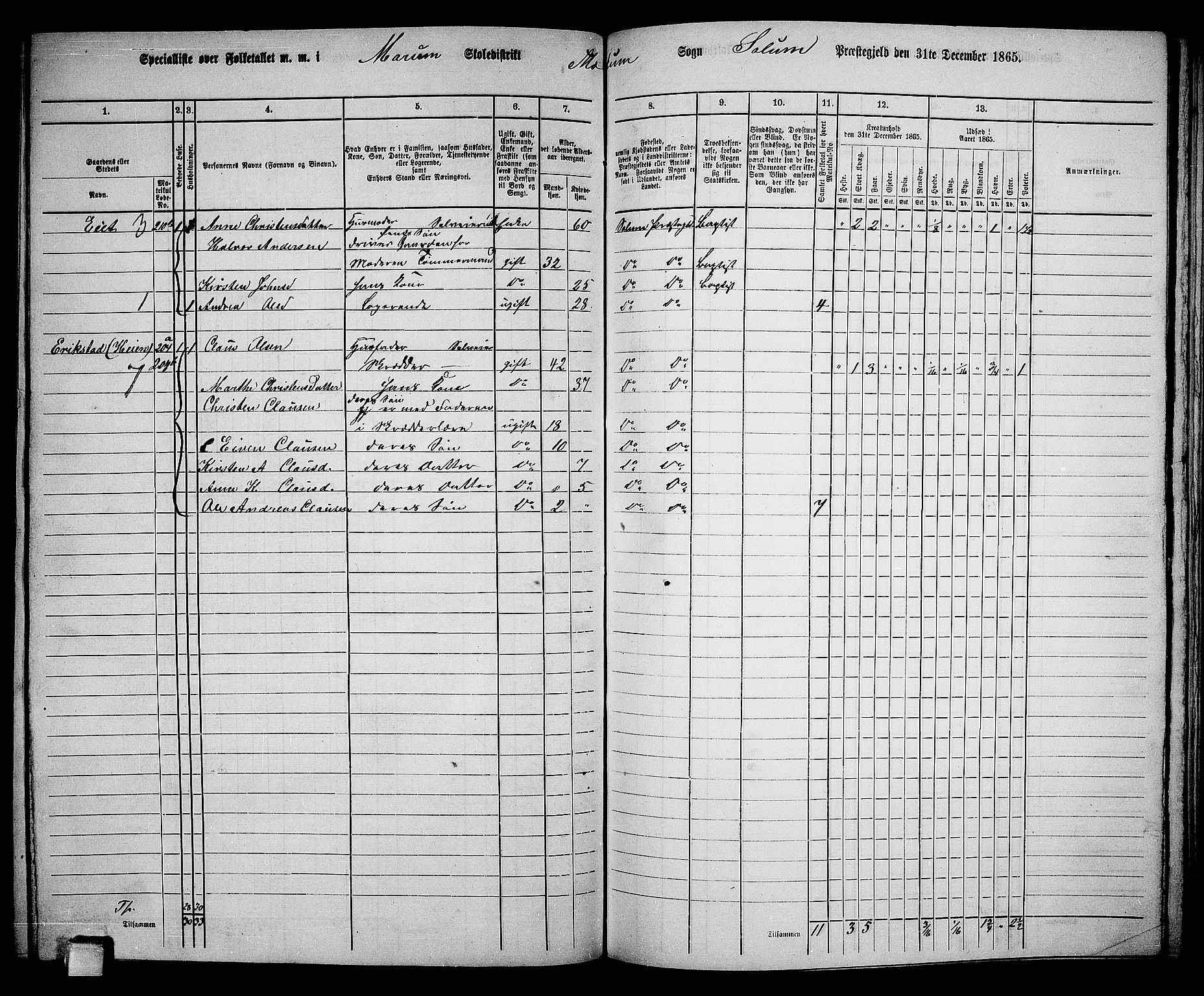 RA, 1865 census for Solum, 1865, p. 178