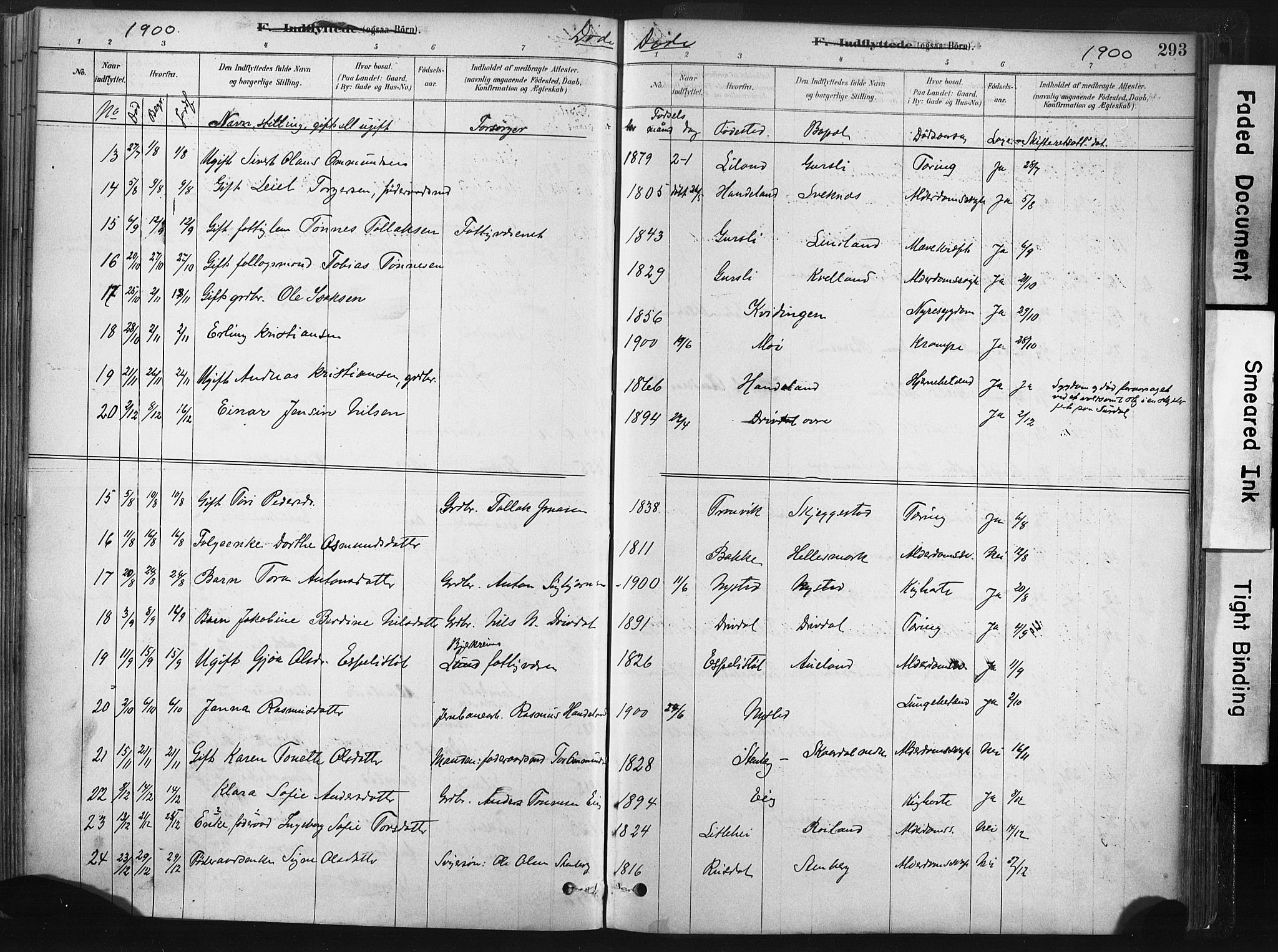 Lund sokneprestkontor, AV/SAST-A-101809/S06/L0011: Parish register (official) no. A 10, 1877-1904, p. 293