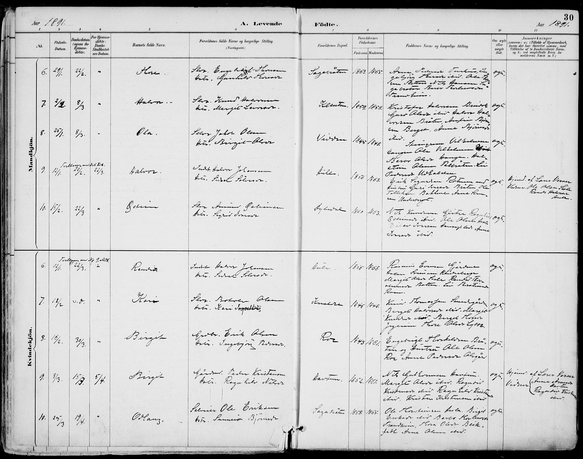 Gol kirkebøker, SAKO/A-226/F/Fa/L0005: Parish register (official) no. I 5, 1887-1900, p. 30