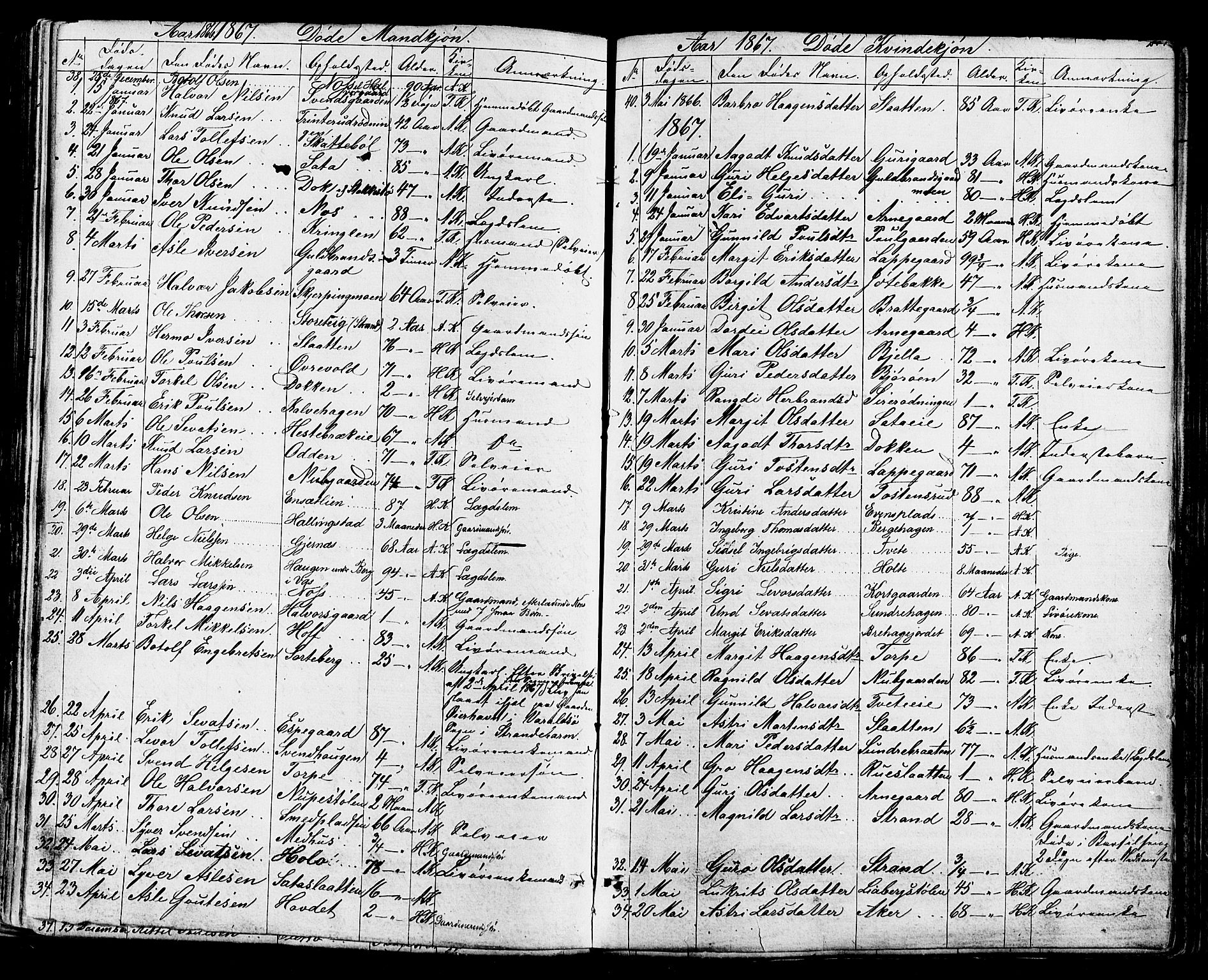 Ål kirkebøker, AV/SAKO-A-249/F/Fa/L0007: Parish register (official) no. I 7, 1865-1881