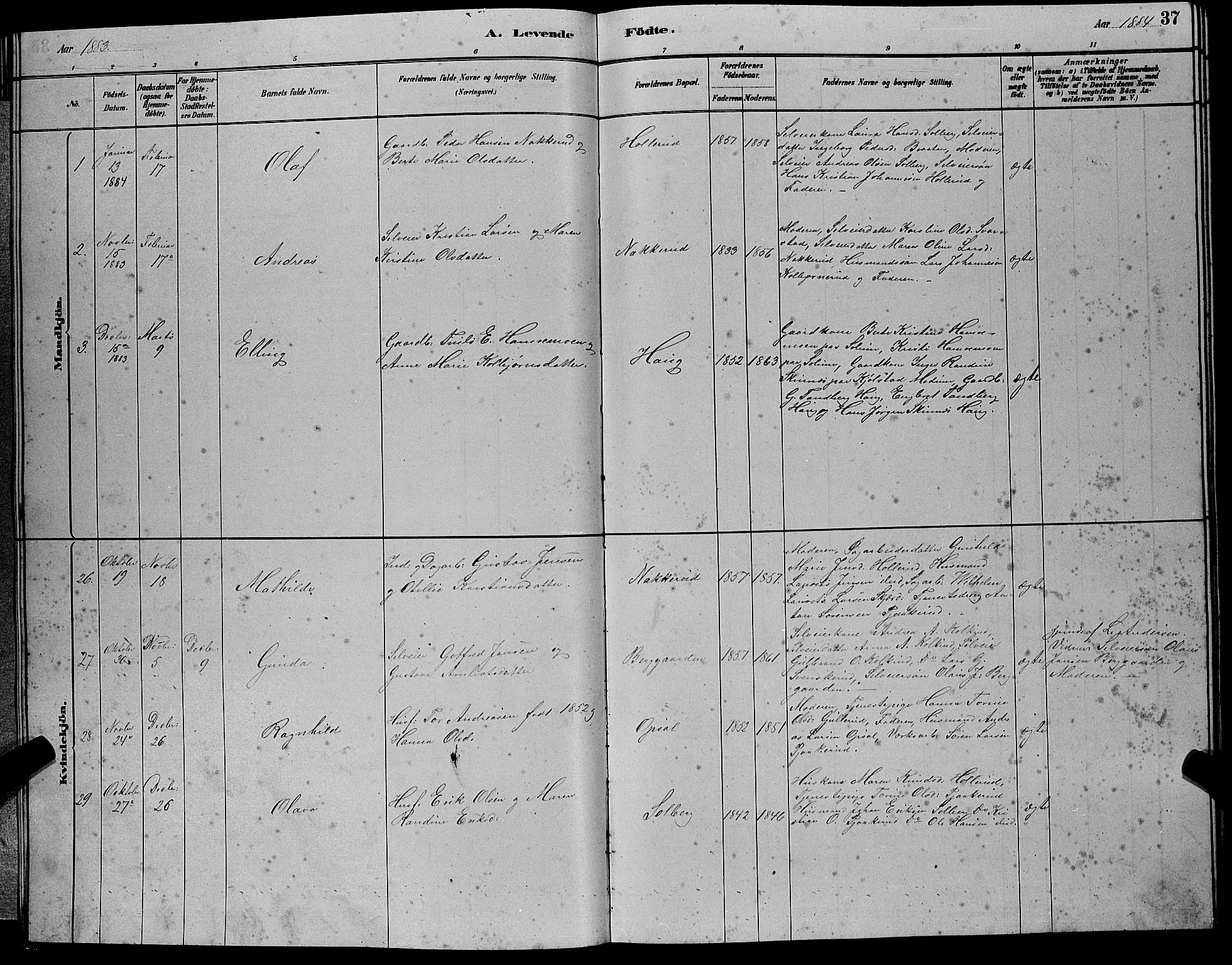 Hole kirkebøker, SAKO/A-228/G/Gb/L0002: Parish register (copy) no. II 2, 1878-1889, p. 37