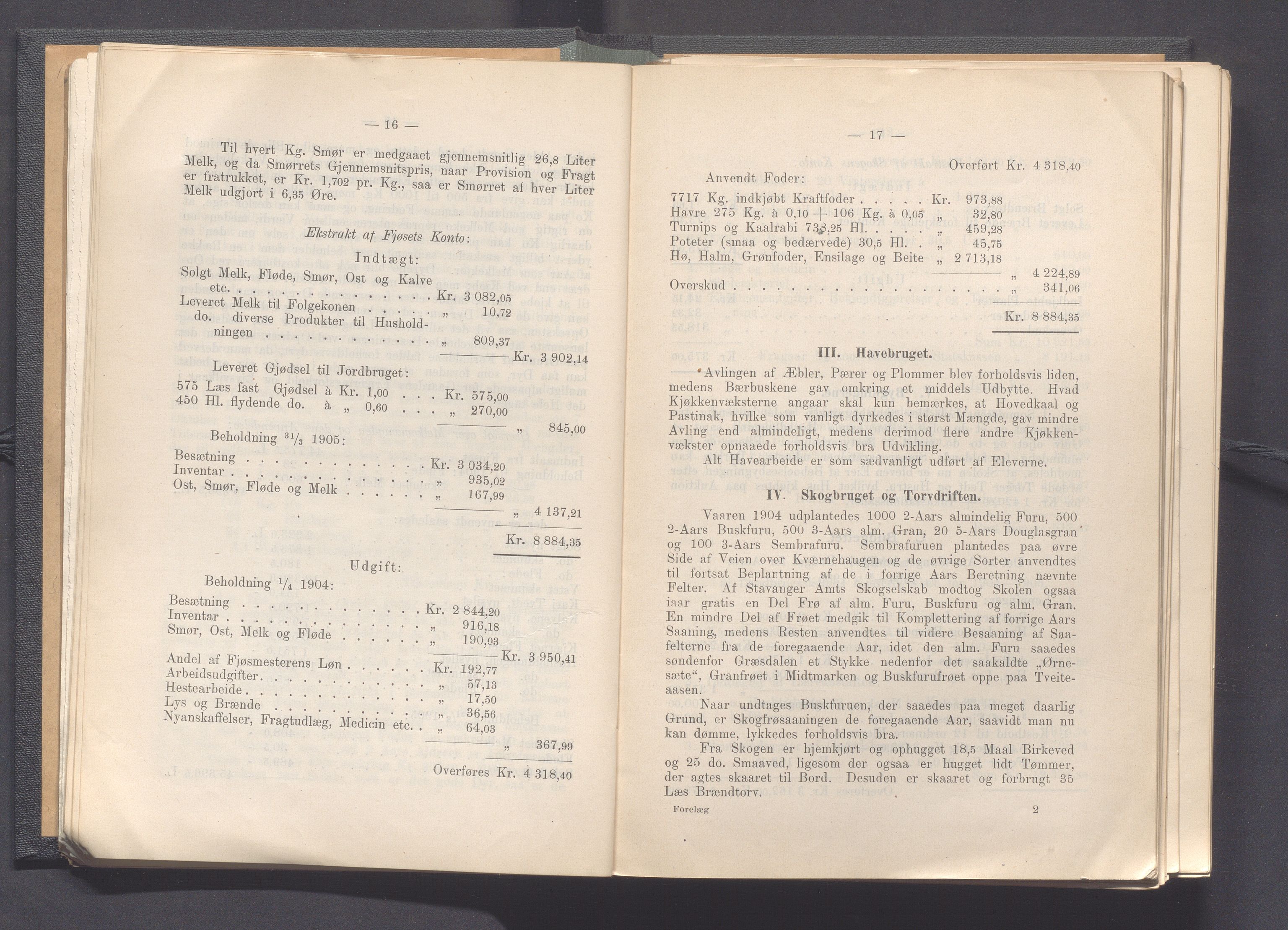 Rogaland fylkeskommune - Fylkesrådmannen , IKAR/A-900/A, 1906, p. 16
