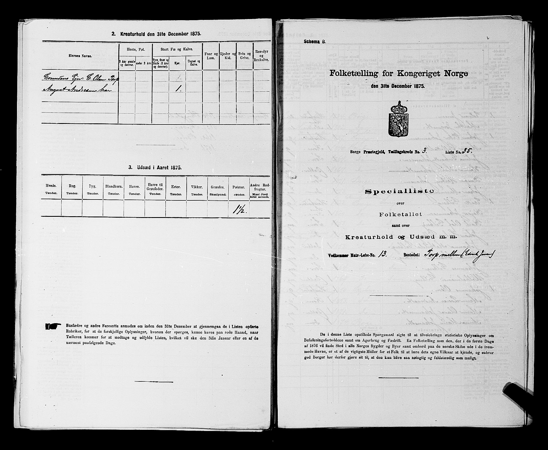 RA, 1875 census for 0113P Borge, 1875, p. 457