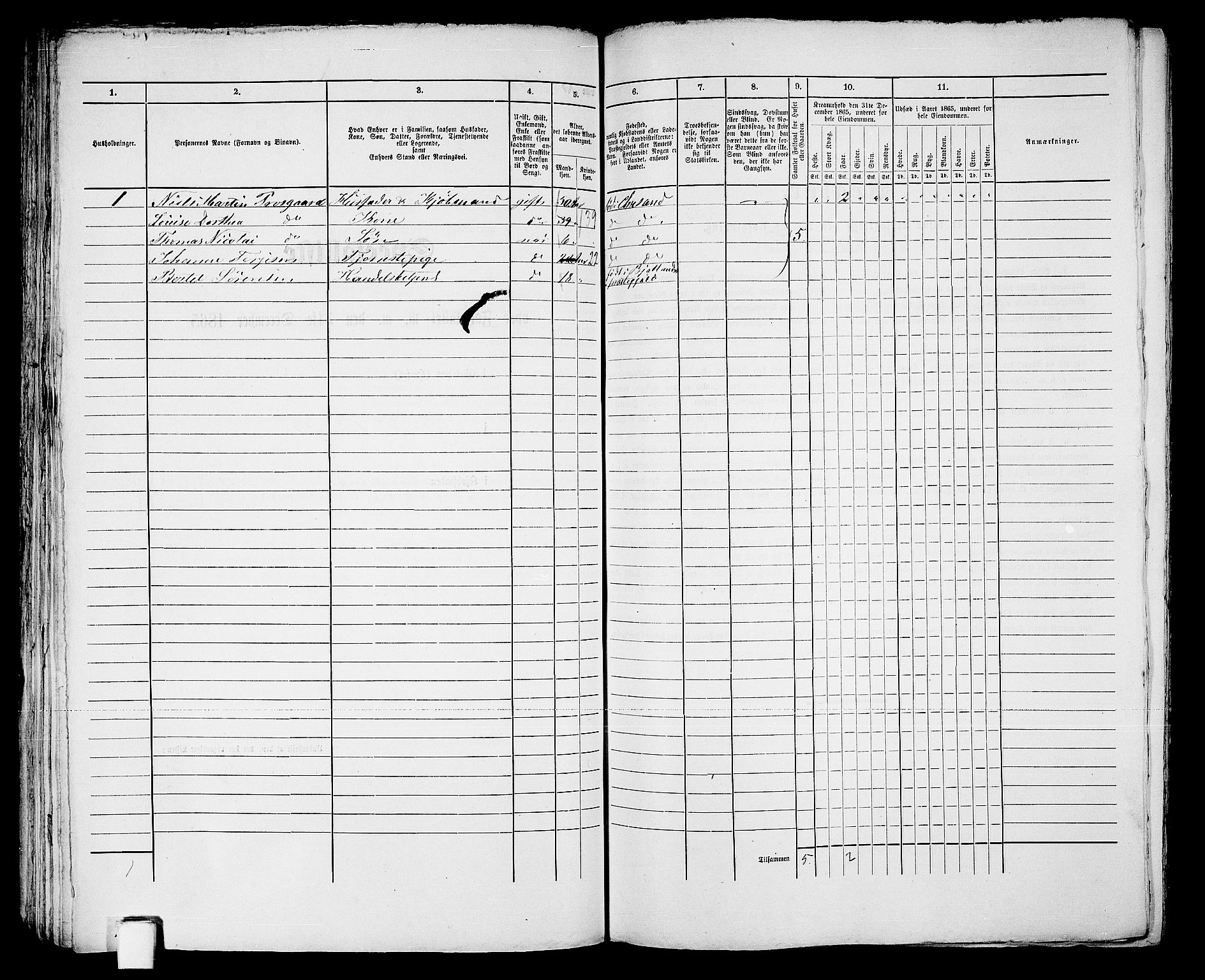 RA, 1865 census for Kristiansand, 1865, p. 1219