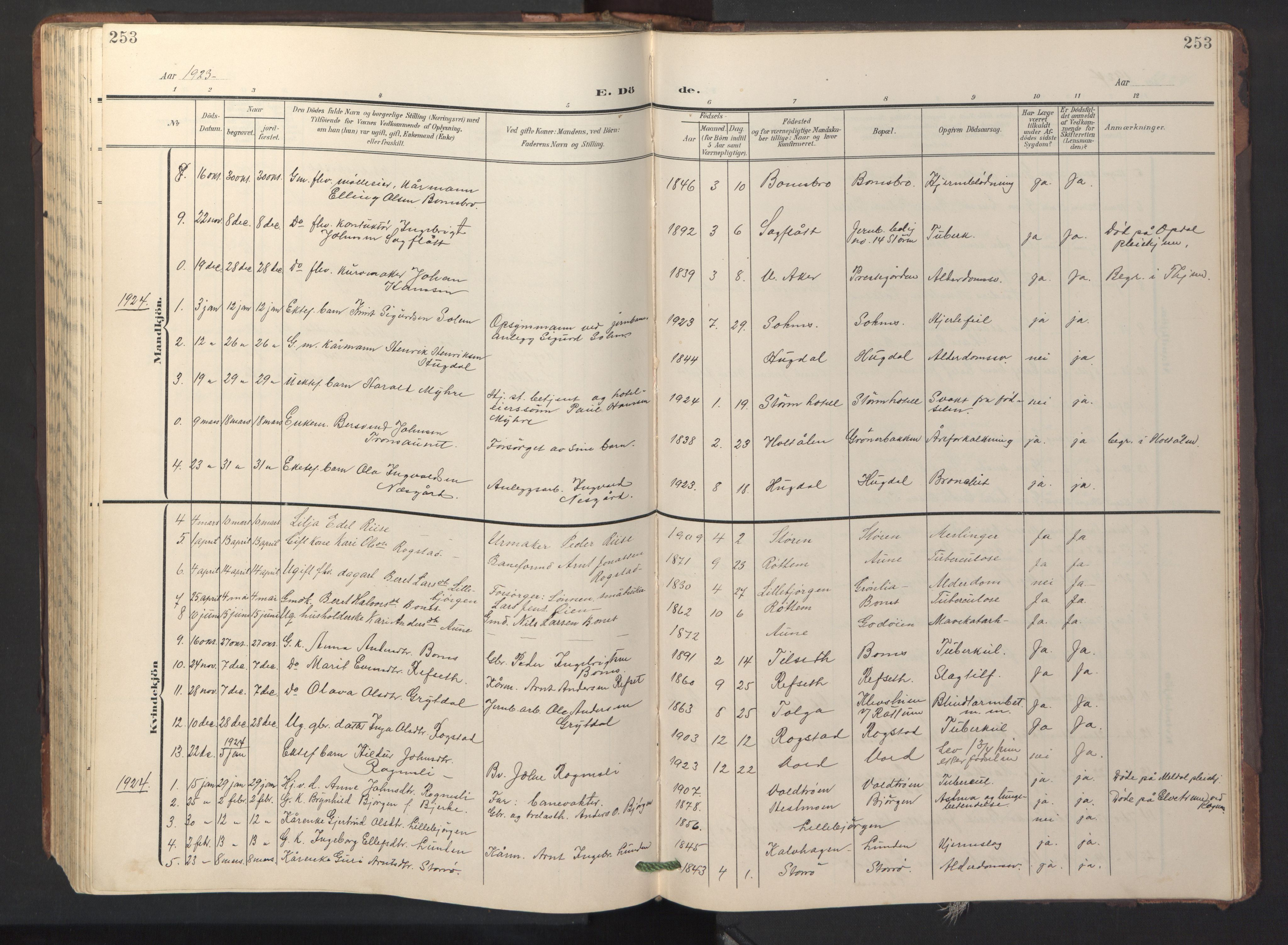 Ministerialprotokoller, klokkerbøker og fødselsregistre - Sør-Trøndelag, SAT/A-1456/687/L1019: Parish register (copy) no. 687C03, 1904-1931, p. 253