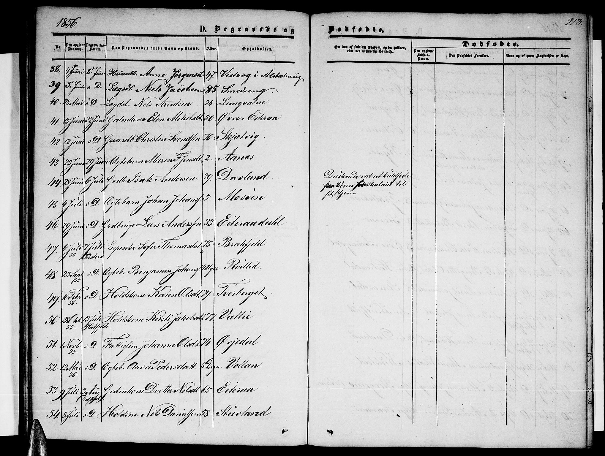 Ministerialprotokoller, klokkerbøker og fødselsregistre - Nordland, SAT/A-1459/820/L0301: Parish register (copy) no. 820C03, 1851-1858, p. 213