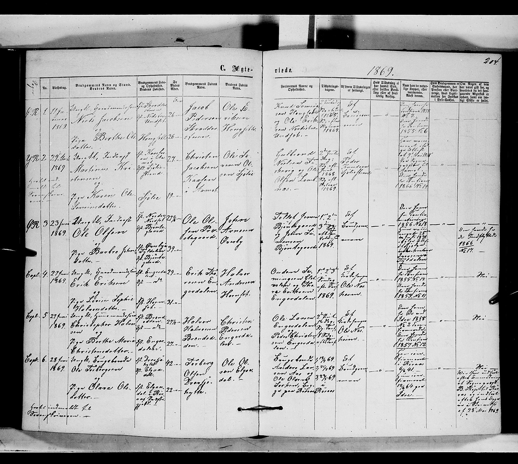 Rendalen prestekontor, SAH/PREST-054/H/Ha/Haa/L0006: Parish register (official) no. 6, 1867-1877, p. 204