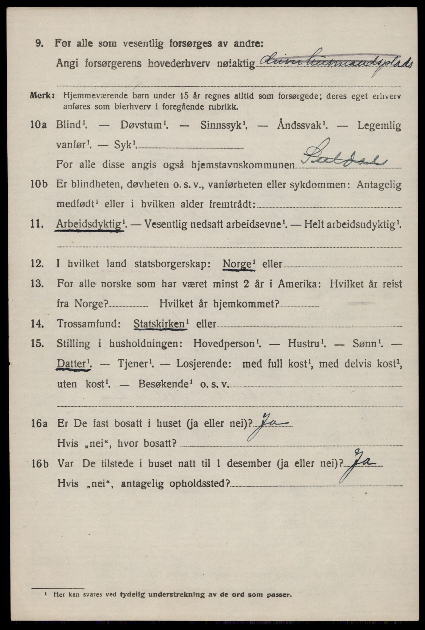 SAST, 1920 census for Suldal, 1920, p. 2151