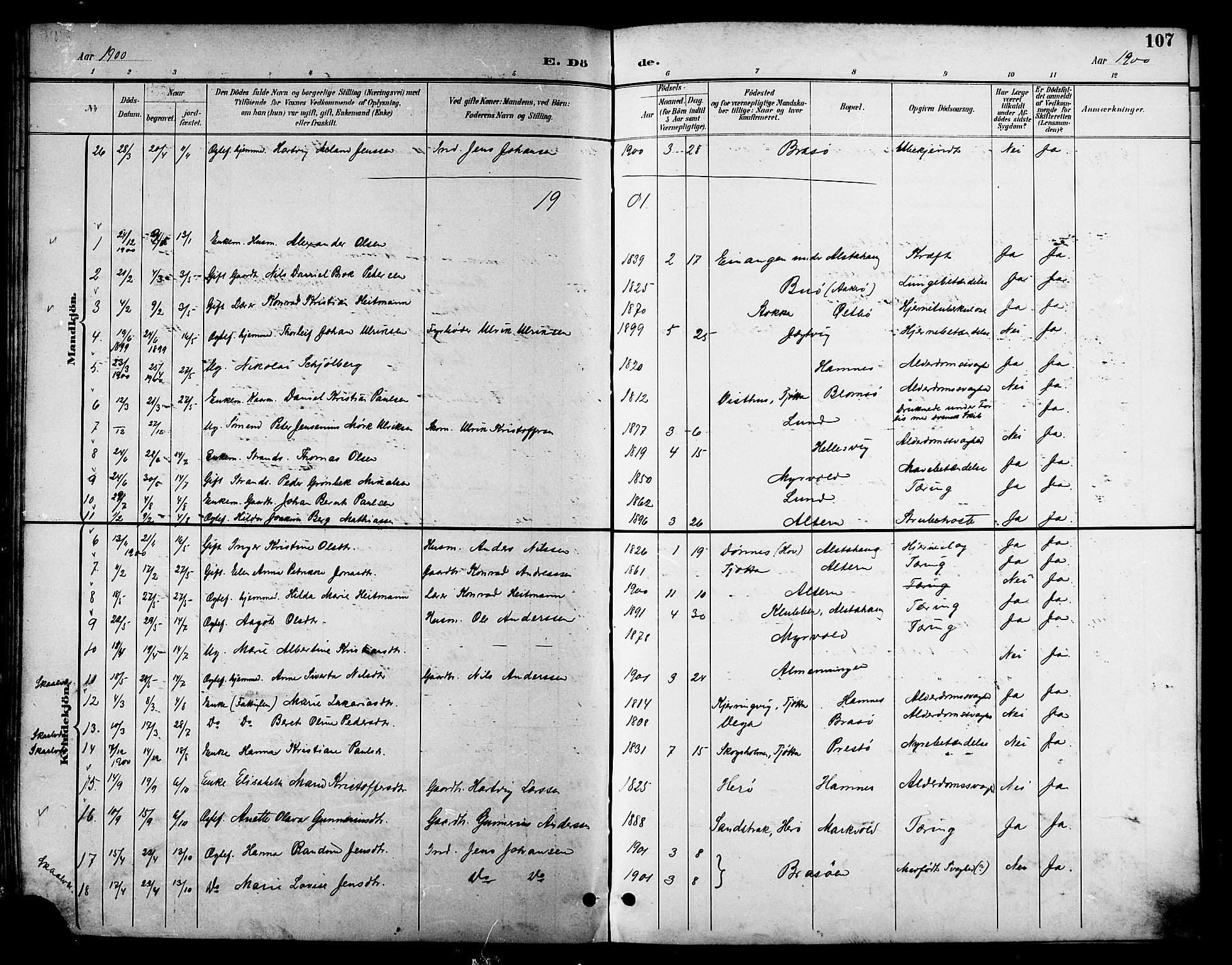 Ministerialprotokoller, klokkerbøker og fødselsregistre - Nordland, SAT/A-1459/830/L0463: Parish register (copy) no. 830C05, 1895-1906, p. 107