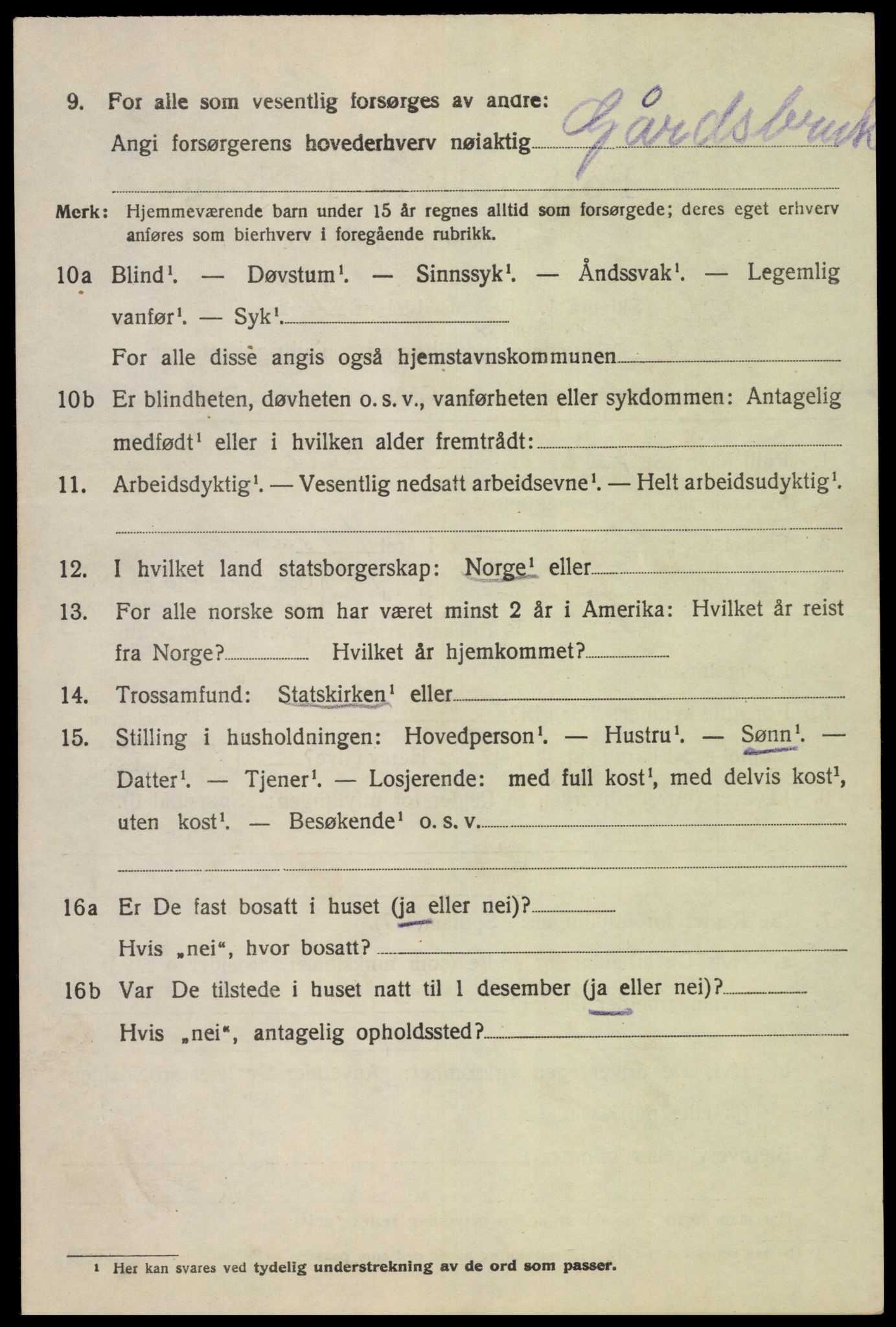 SAK, 1920 census for Øvre Sirdal, 1920, p. 1038