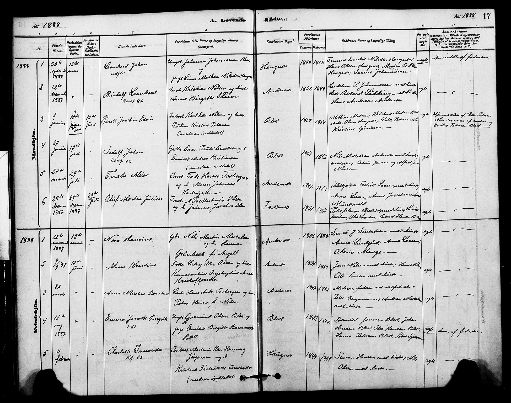 Ministerialprotokoller, klokkerbøker og fødselsregistre - Nordland, SAT/A-1459/899/L1436: Parish register (official) no. 899A04, 1881-1896, p. 17