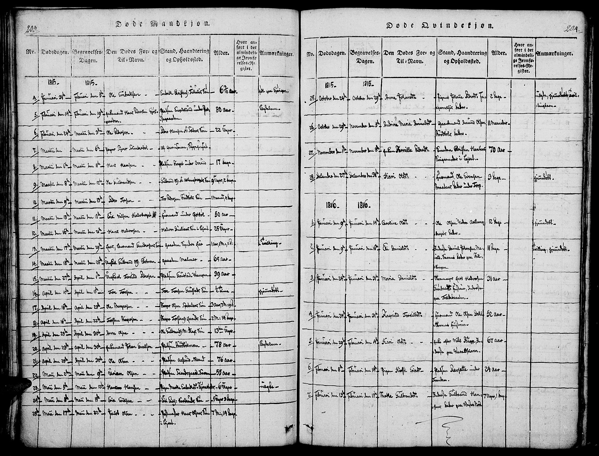 Vinger prestekontor, AV/SAH-PREST-024/H/Ha/Haa/L0006: Parish register (official) no. 6, 1814-1825, p. 203-204