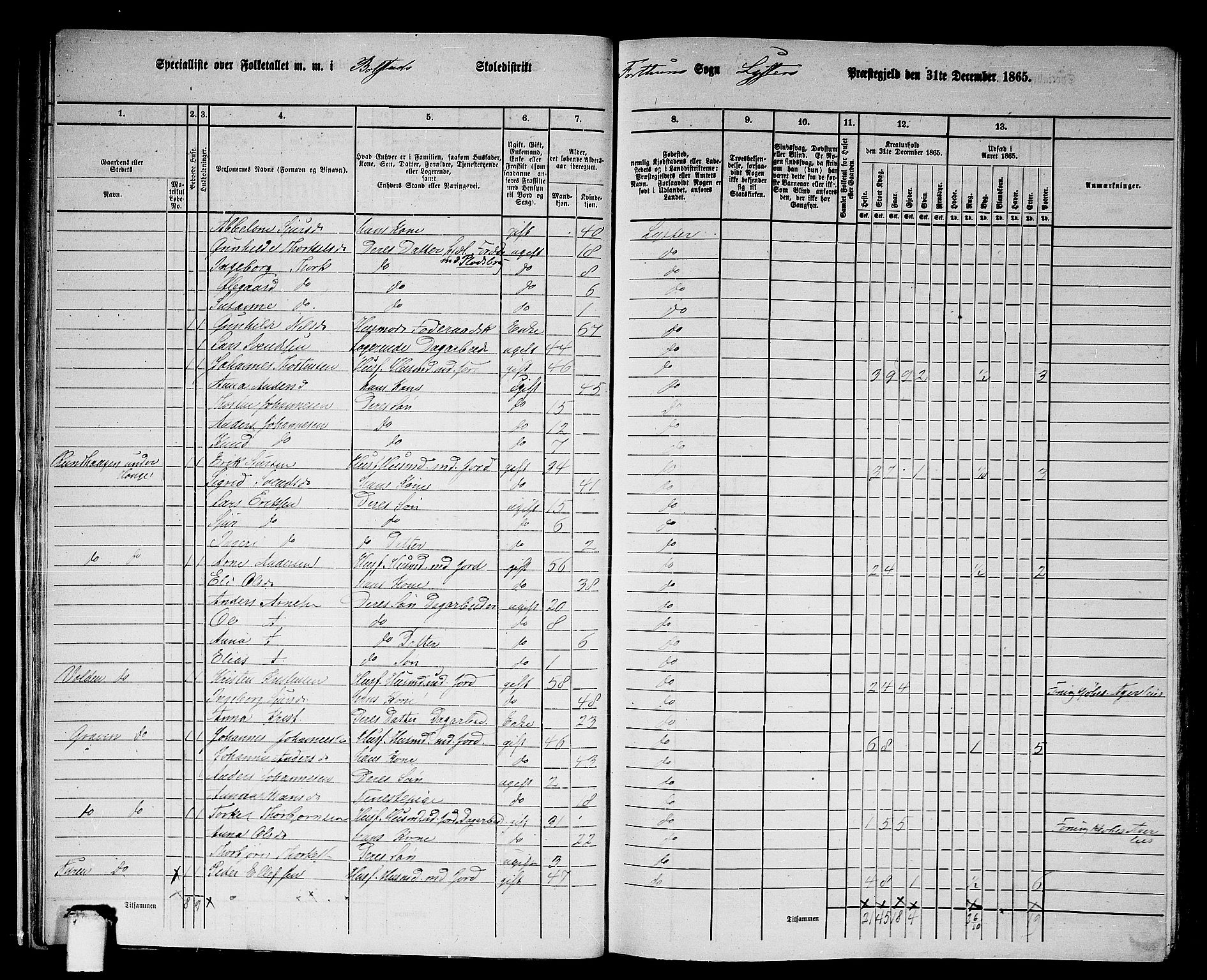 RA, 1865 census for Luster, 1865, p. 19