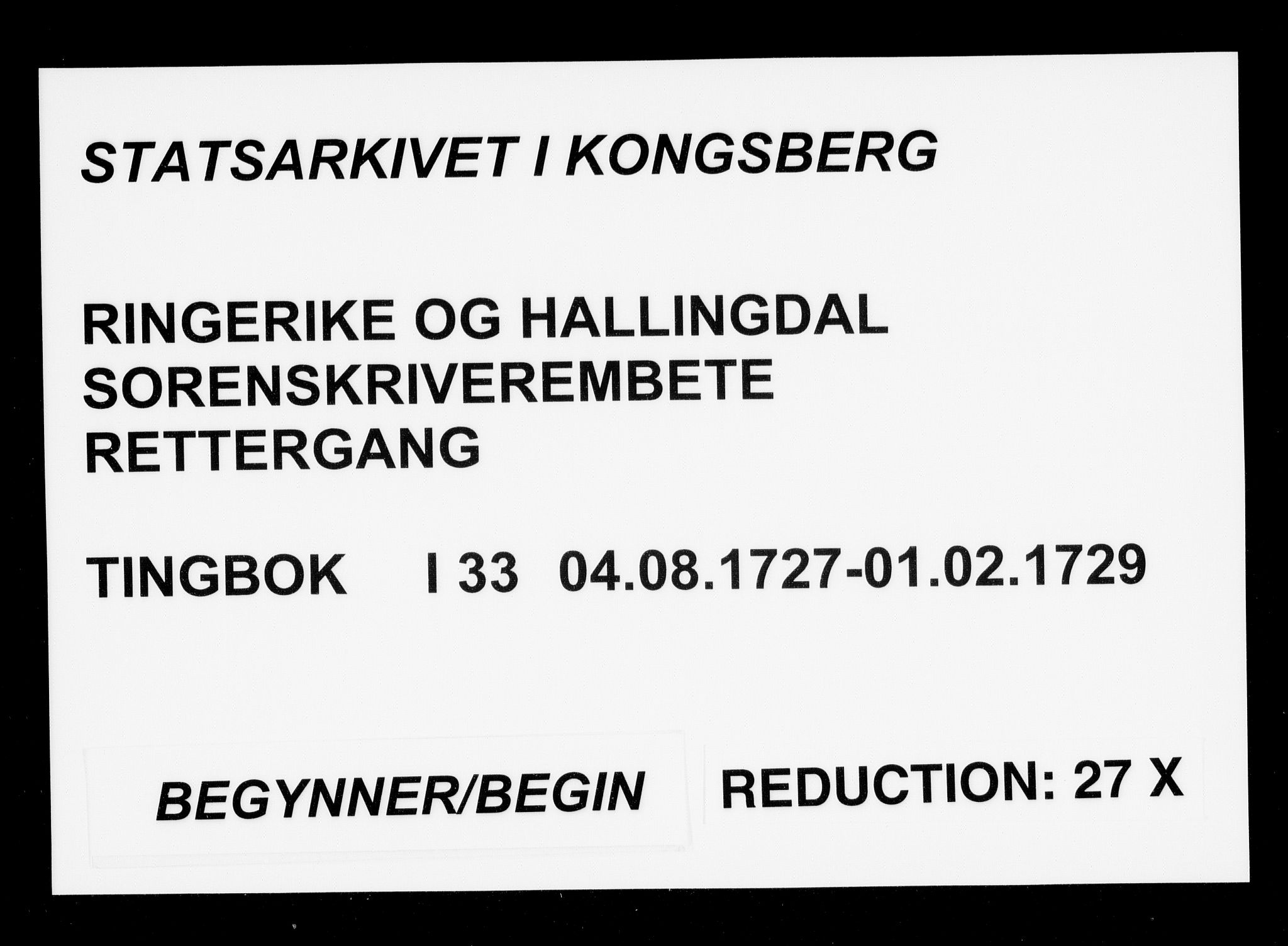 Ringerike og Hallingdal sorenskriveri, AV/SAKO-A-81/F/Fa/Faa/L0033: Tingbok, 1727-1729