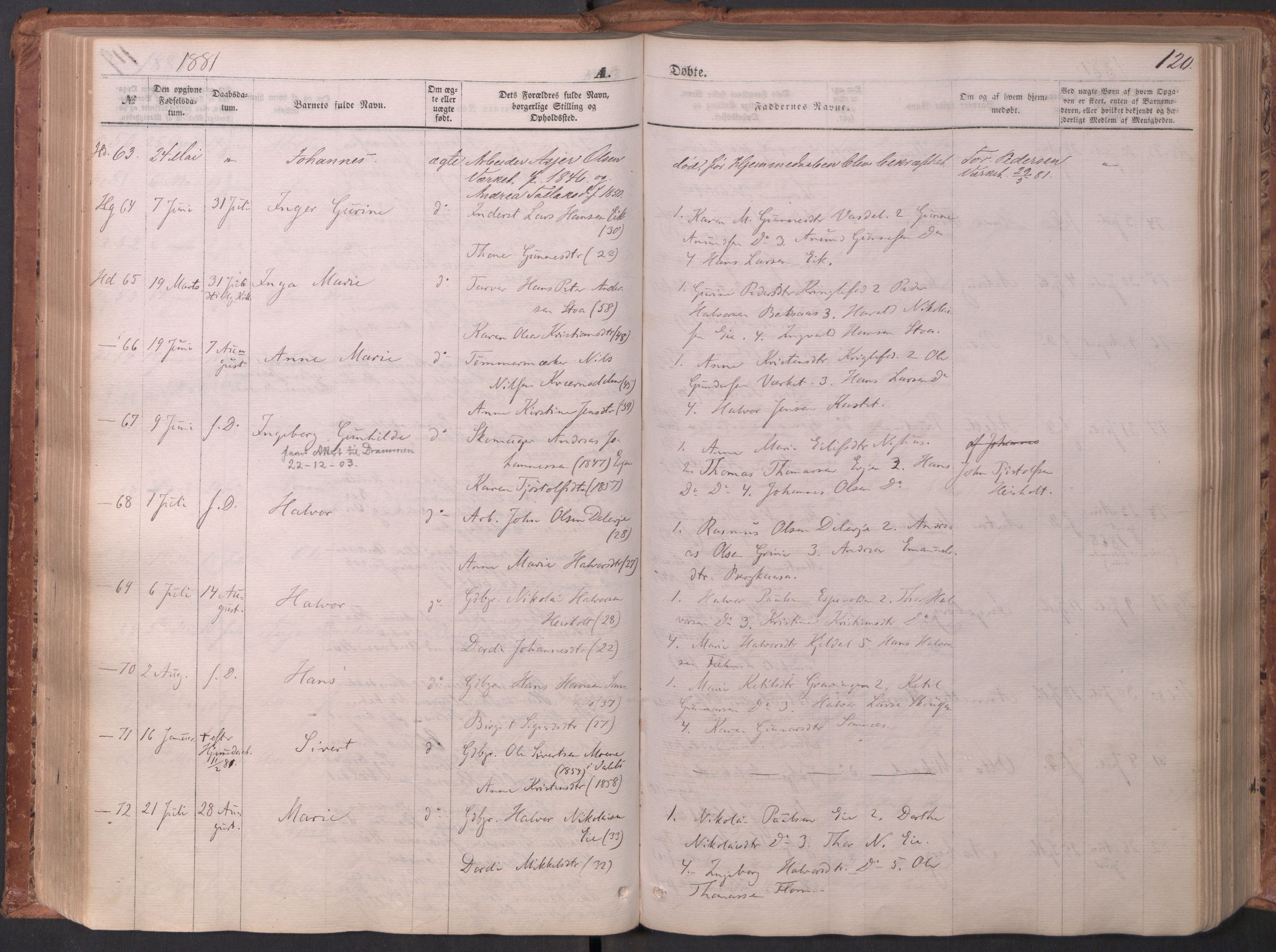 Holla kirkebøker, SAKO/A-272/F/Fa/L0007: Parish register (official) no. 7, 1869-1881