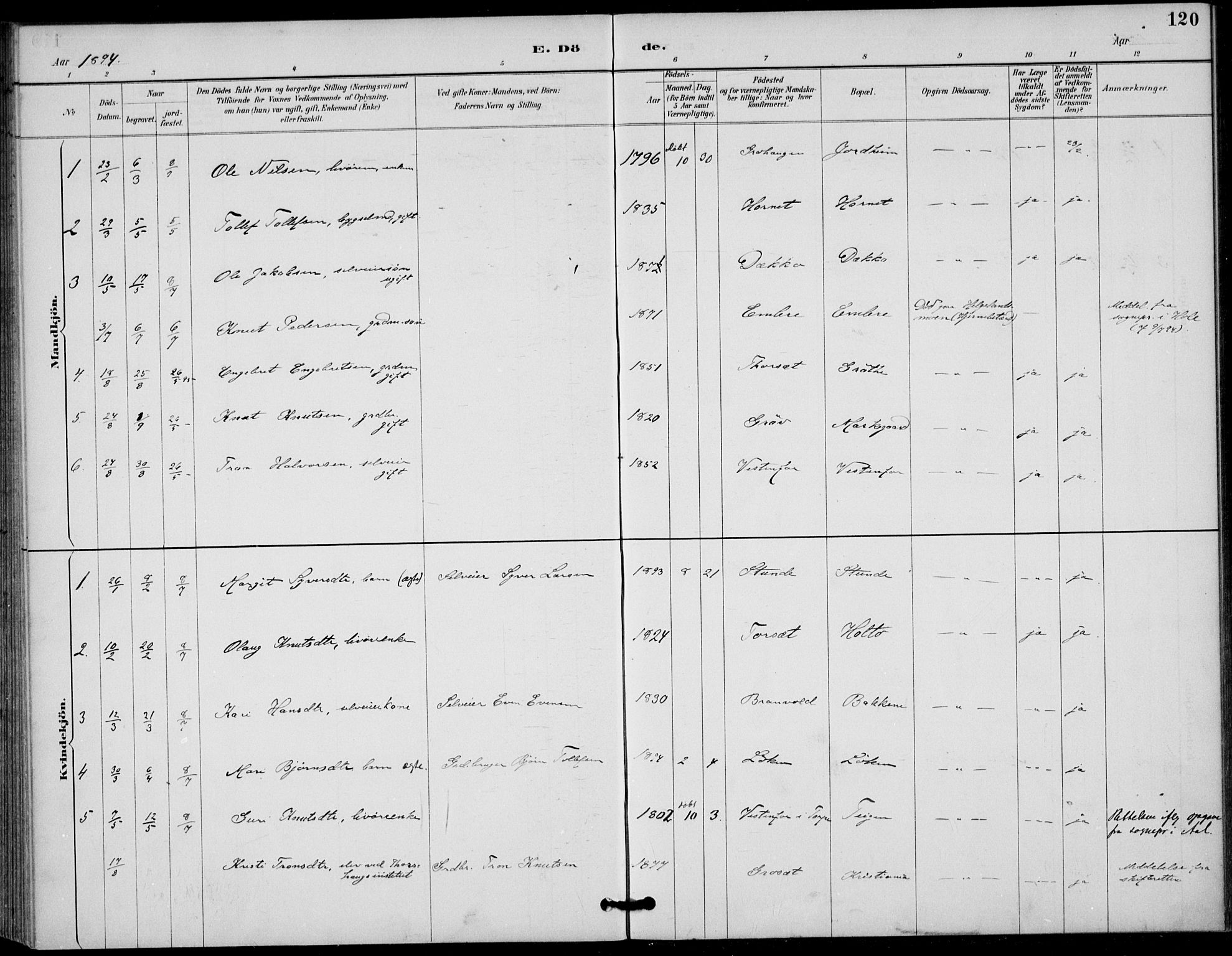 Gol kirkebøker, AV/SAKO-A-226/F/Fb/L0001: Parish register (official) no. II 1, 1887-1900, p. 120