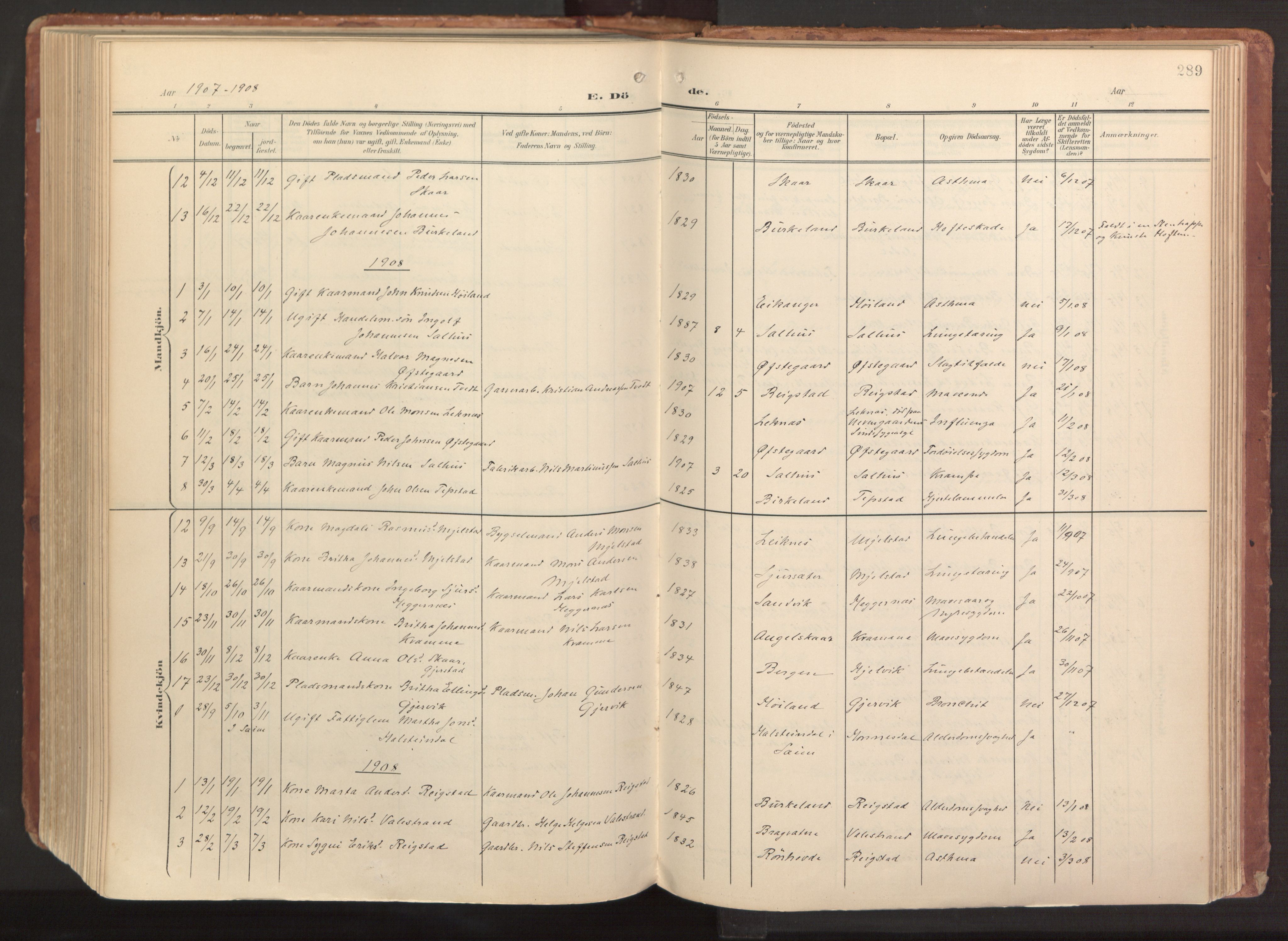 Hamre sokneprestembete, AV/SAB-A-75501/H/Ha/Haa/Haab/L0002: Parish register (official) no. B 2, 1905-1924, p. 289