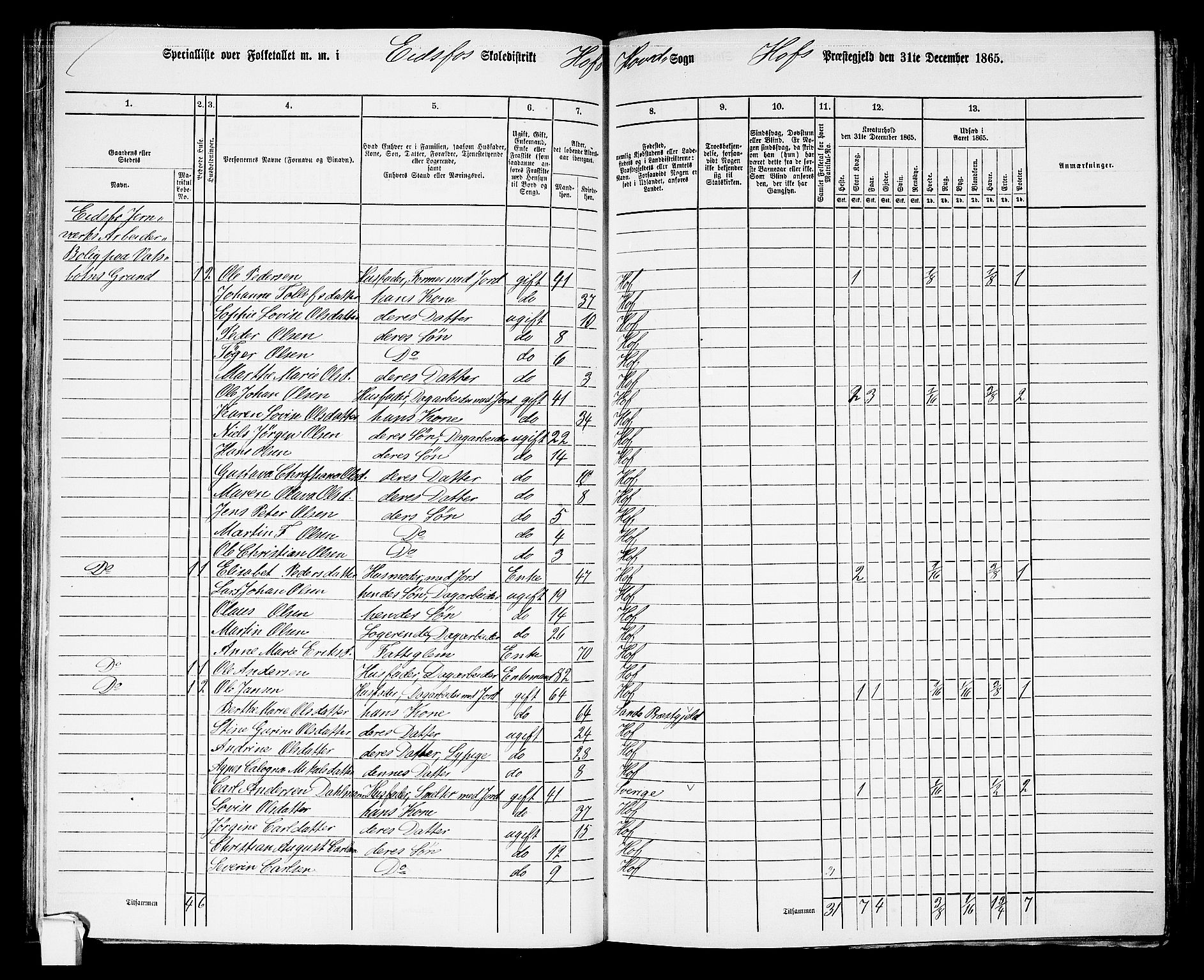 RA, 1865 census for Hof, 1865, p. 84