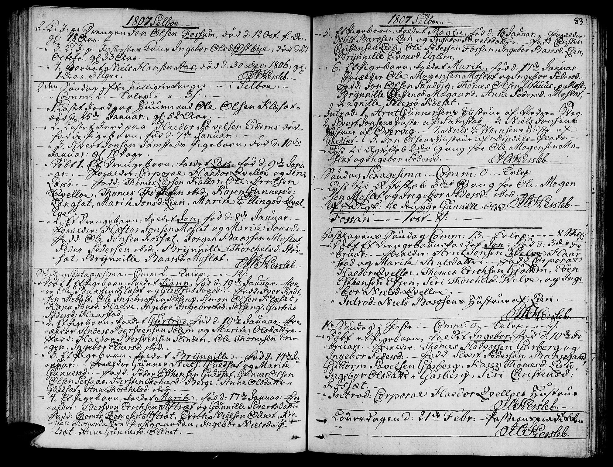 Ministerialprotokoller, klokkerbøker og fødselsregistre - Sør-Trøndelag, SAT/A-1456/695/L1140: Parish register (official) no. 695A03, 1801-1815, p. 83