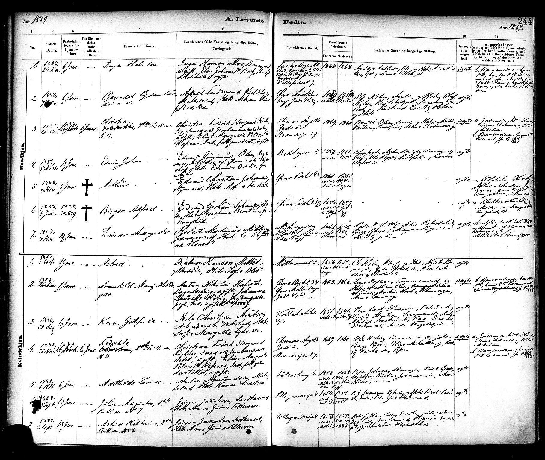 Ministerialprotokoller, klokkerbøker og fødselsregistre - Sør-Trøndelag, SAT/A-1456/604/L0188: Parish register (official) no. 604A09, 1878-1892, p. 244