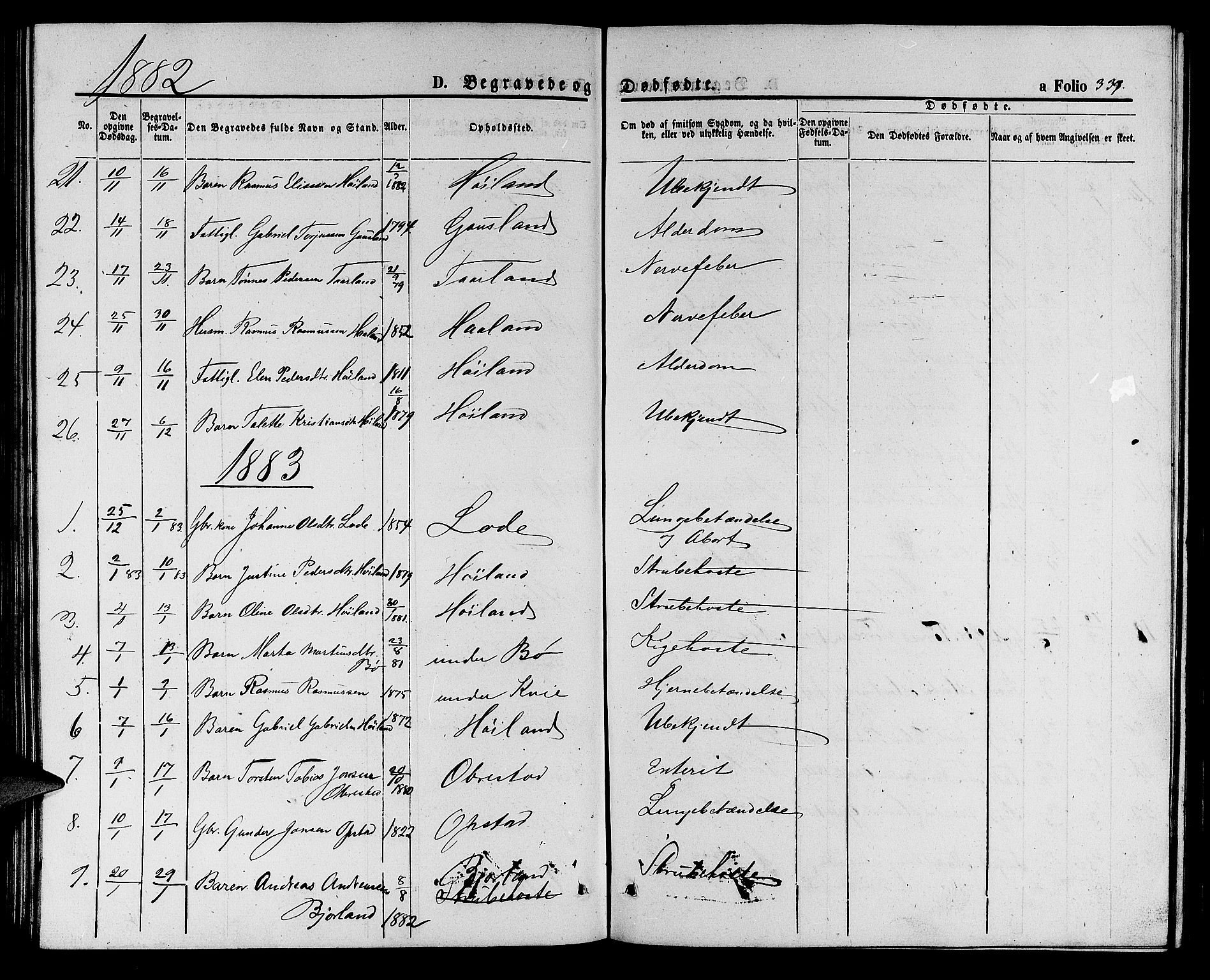 Hå sokneprestkontor, AV/SAST-A-101801/001/30BB/L0001: Parish register (copy) no. B 1, 1854-1883, p. 339