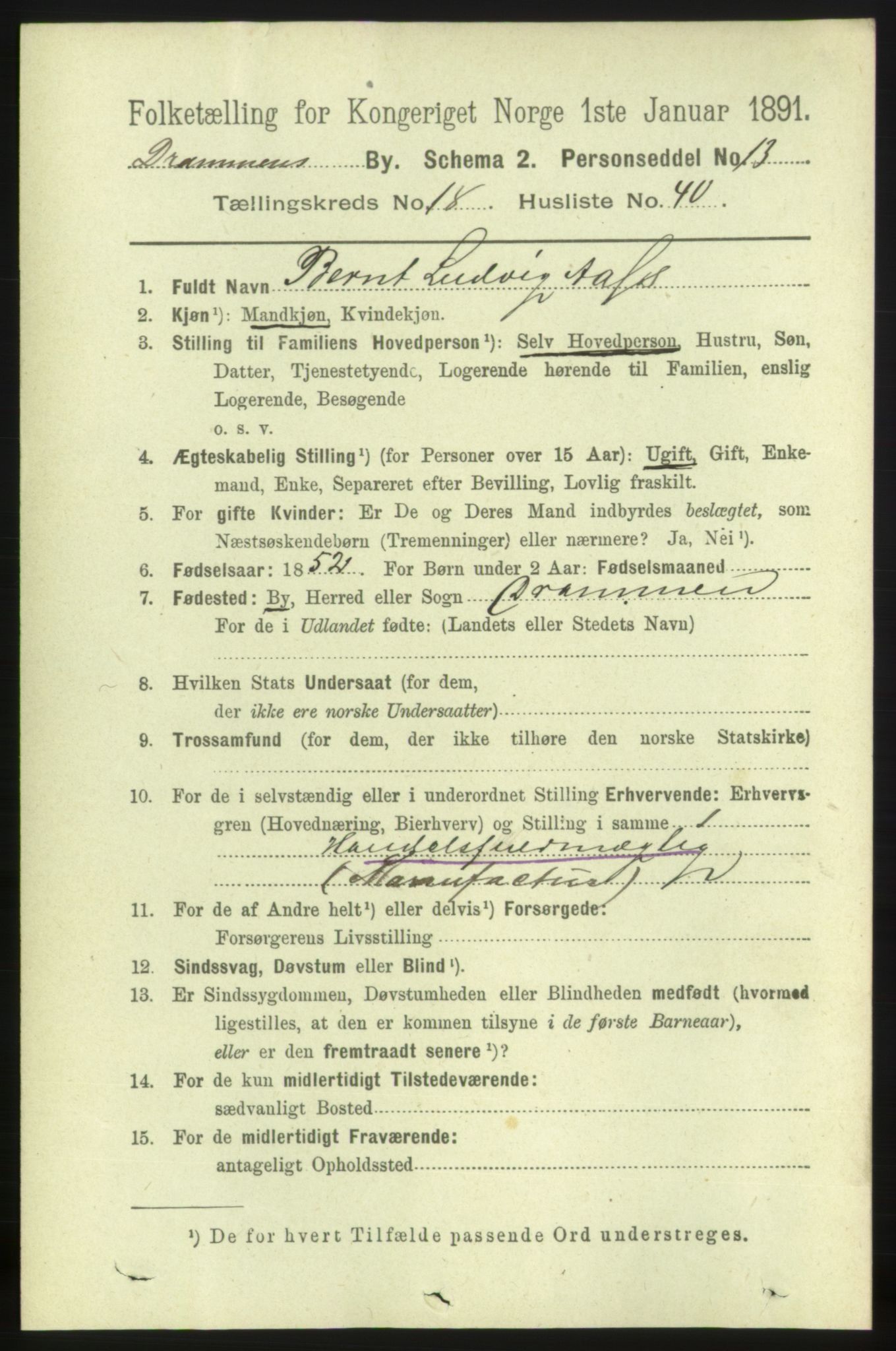 RA, 1891 census for 0602 Drammen, 1891, p. 11992