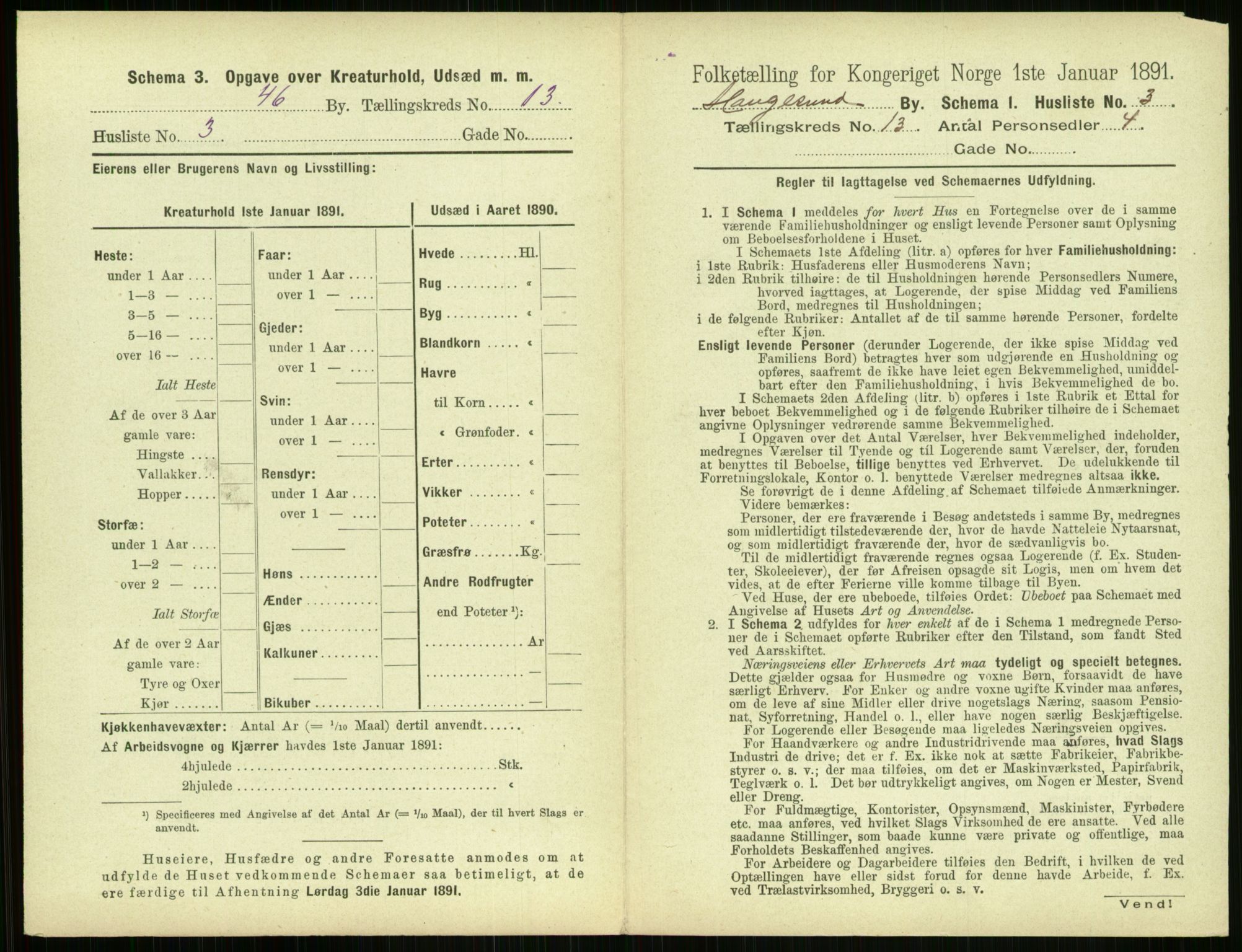 RA, 1891 census for 1106 Haugesund, 1891, p. 844