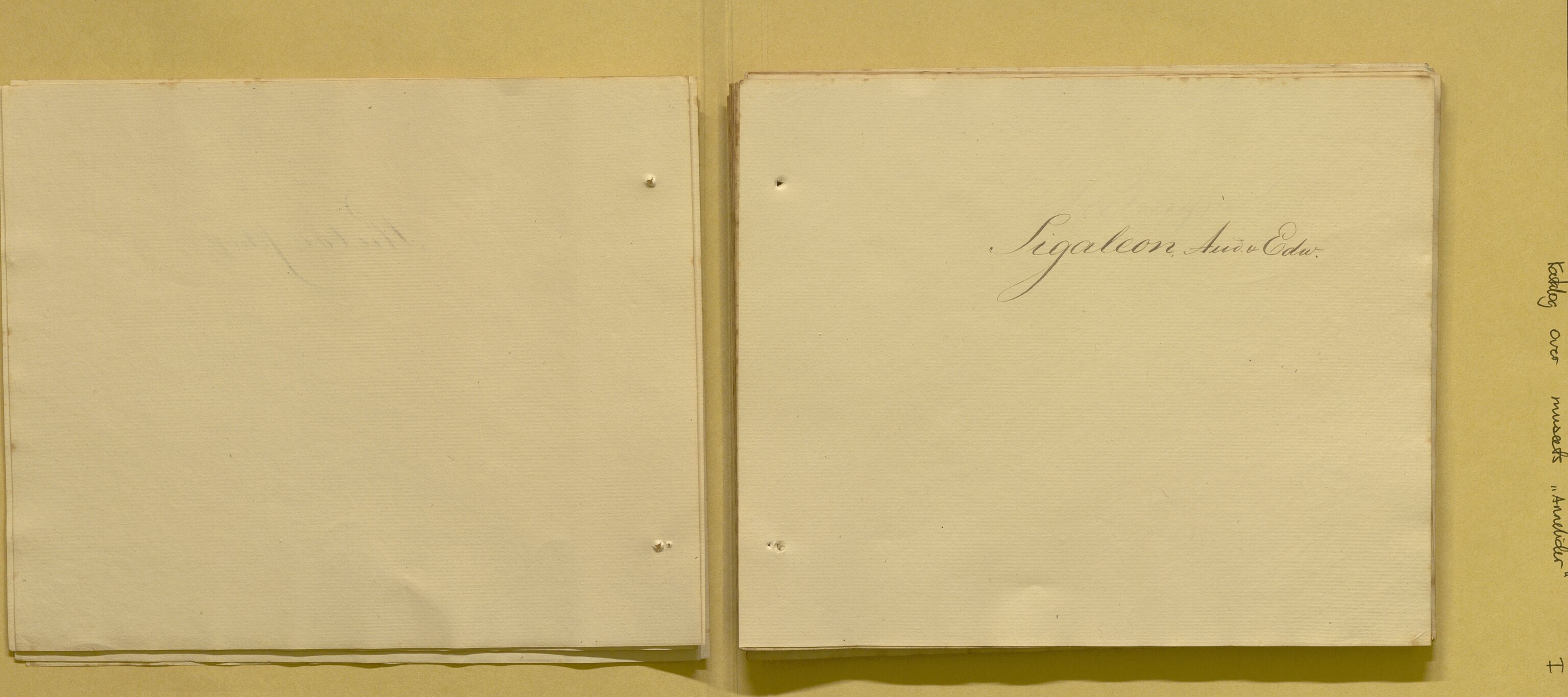 Bergens Museum, AV/SAB-A-17301/08/F/L0001: Fem udaterte kataloger fra 1800-tallet over leddormer, krepsdyr og fugler, 1825-1900, p. 9