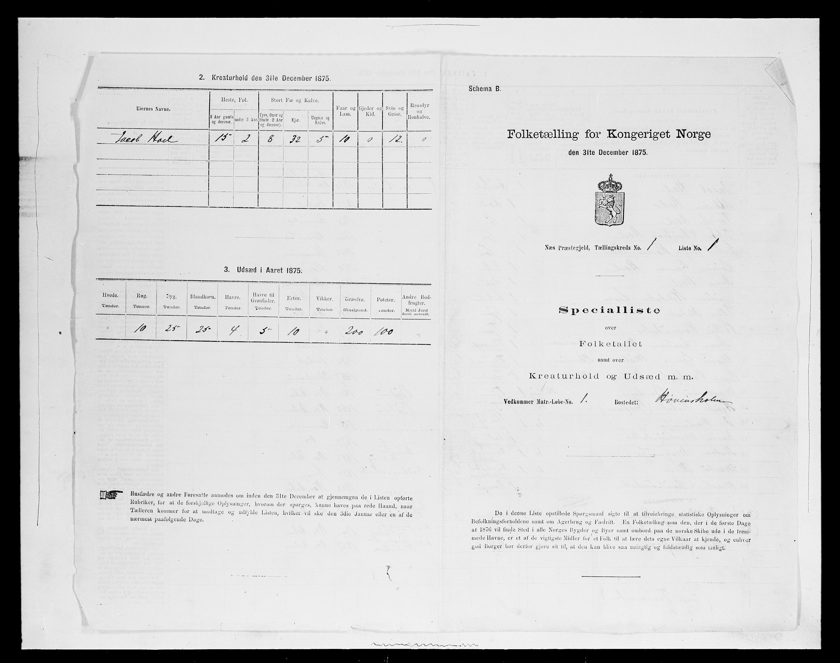 SAH, 1875 census for 0411P Nes, 1875, p. 80